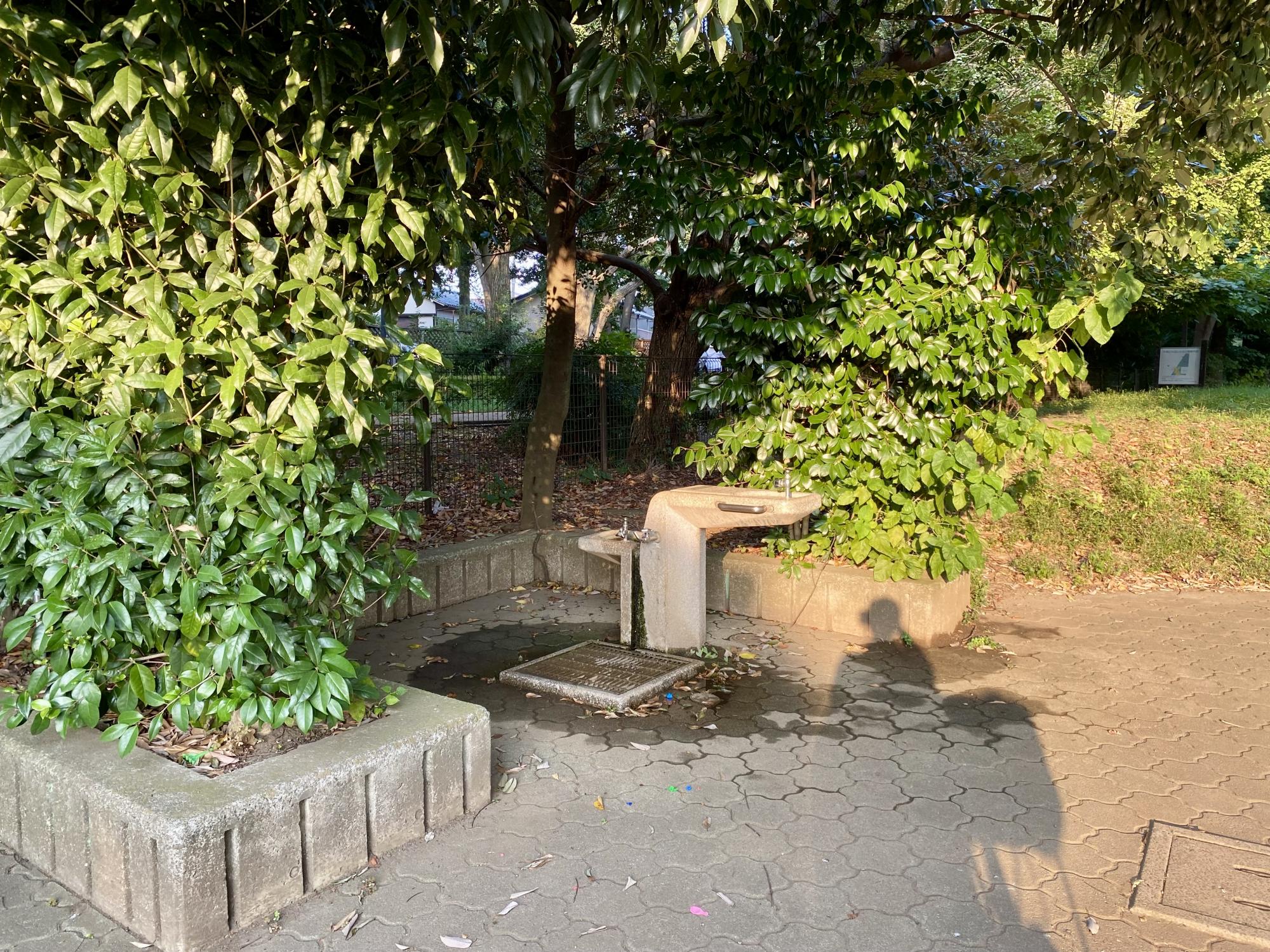 天神じゃぶじゃぶ公園