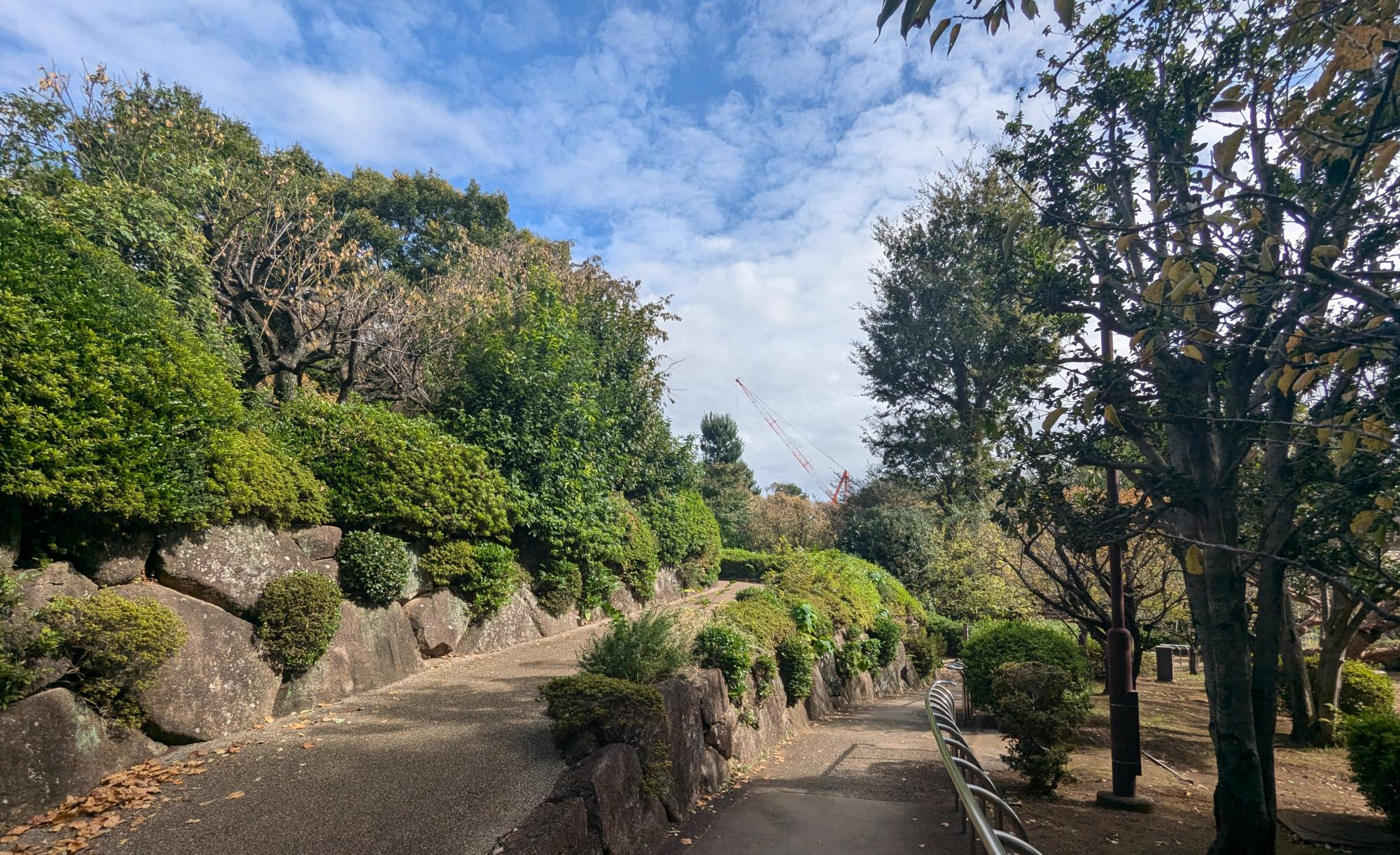 羽根木公園