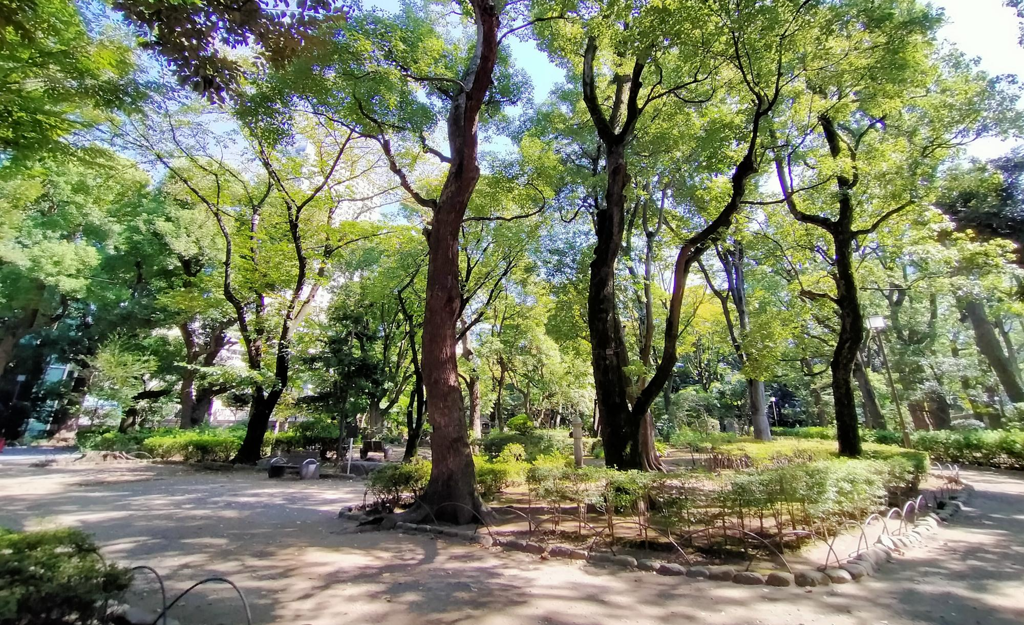 高橋是清翁記念公園