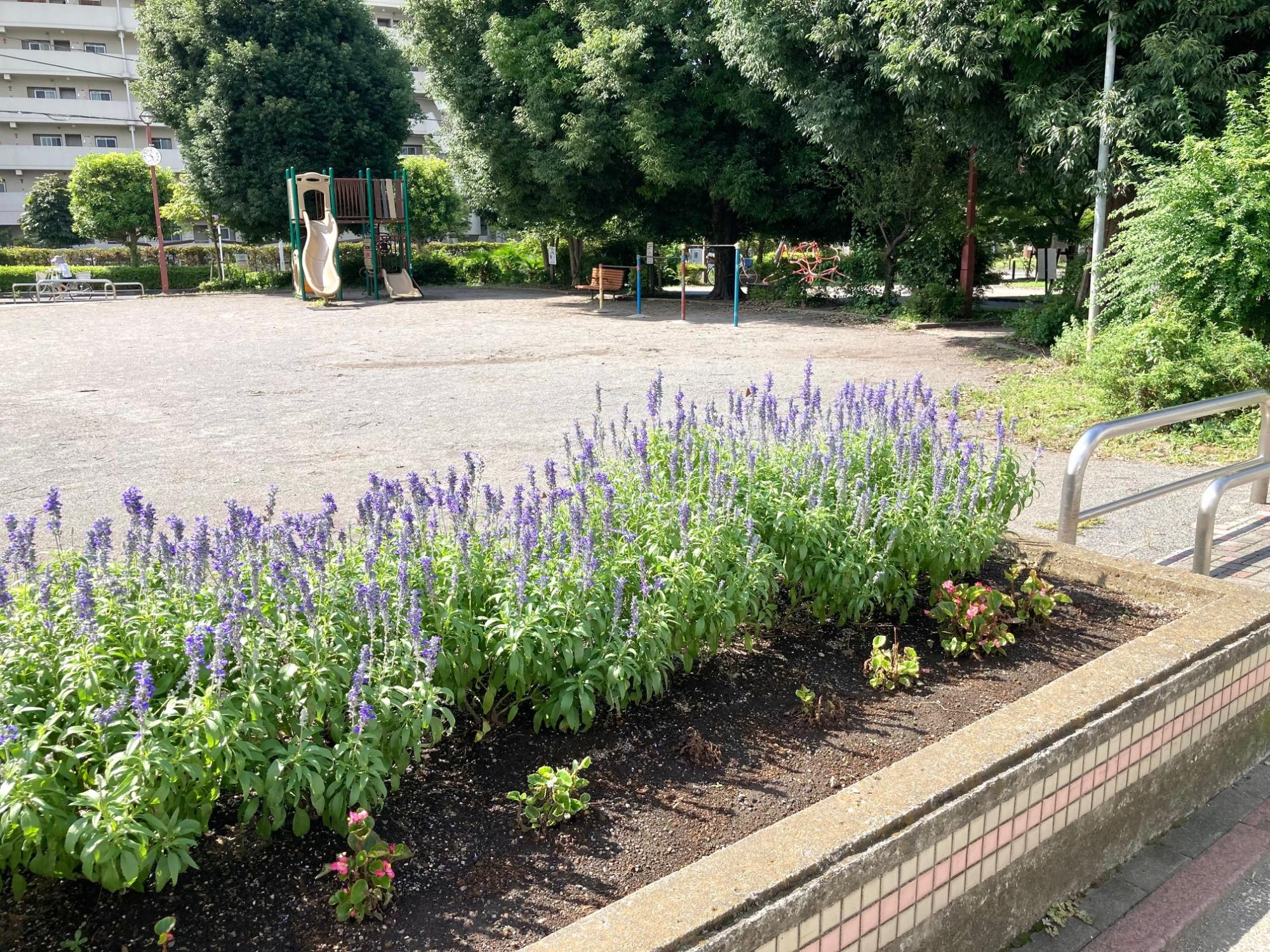 プラザシティ相模大野公園