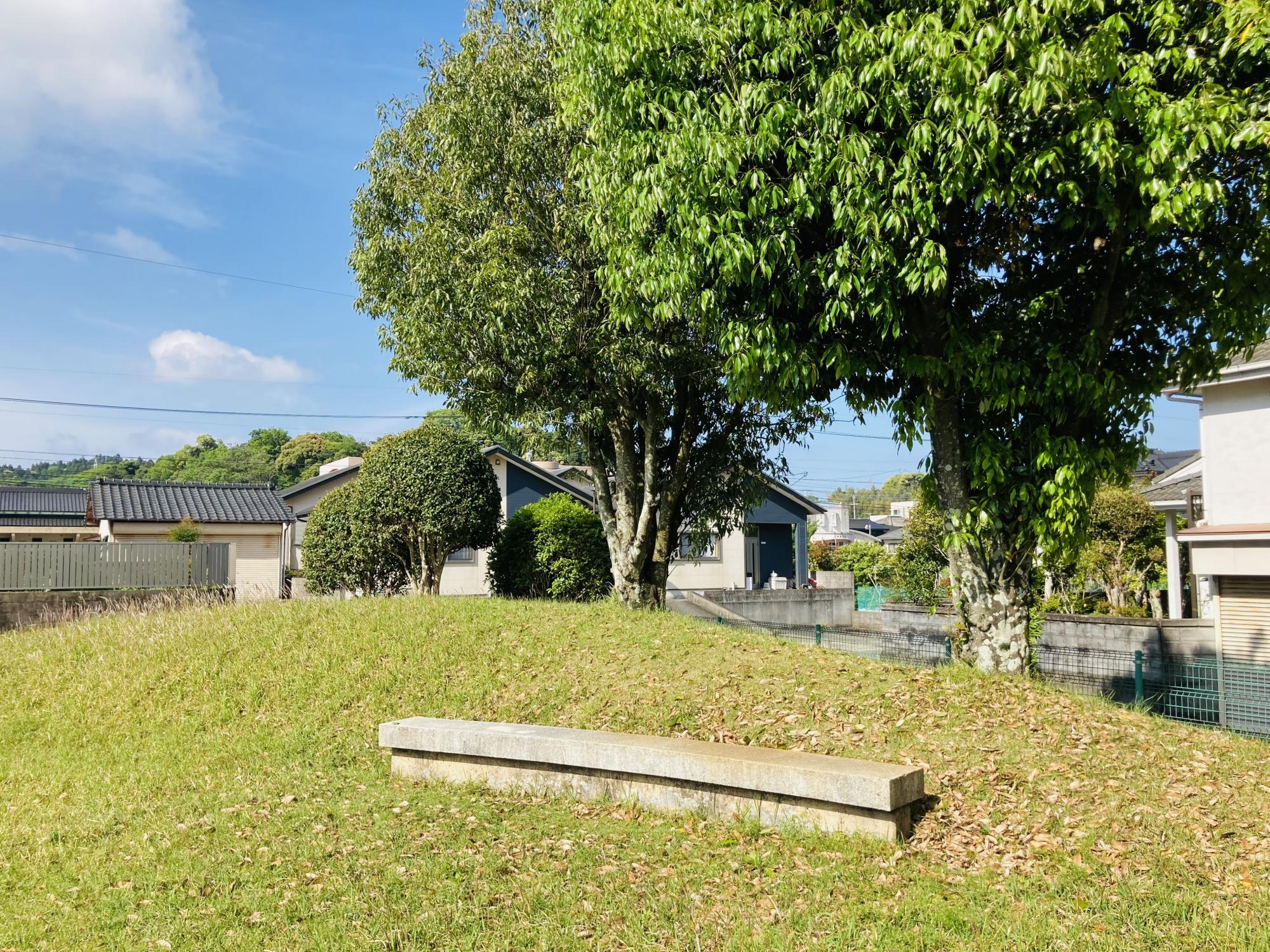 宮崎公園