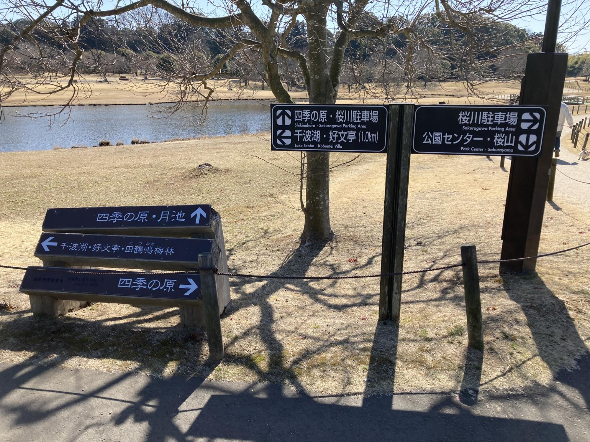 偕楽園公園 四季の原(桜川駐車場周辺)