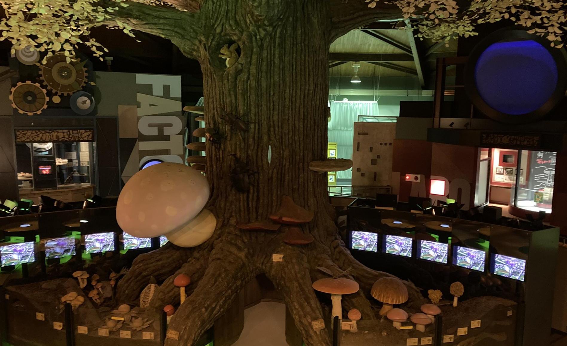 茨城県きのこ博士館