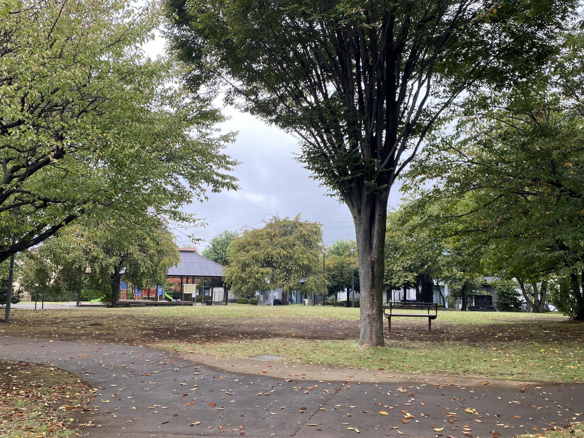 久保新田さくら公園