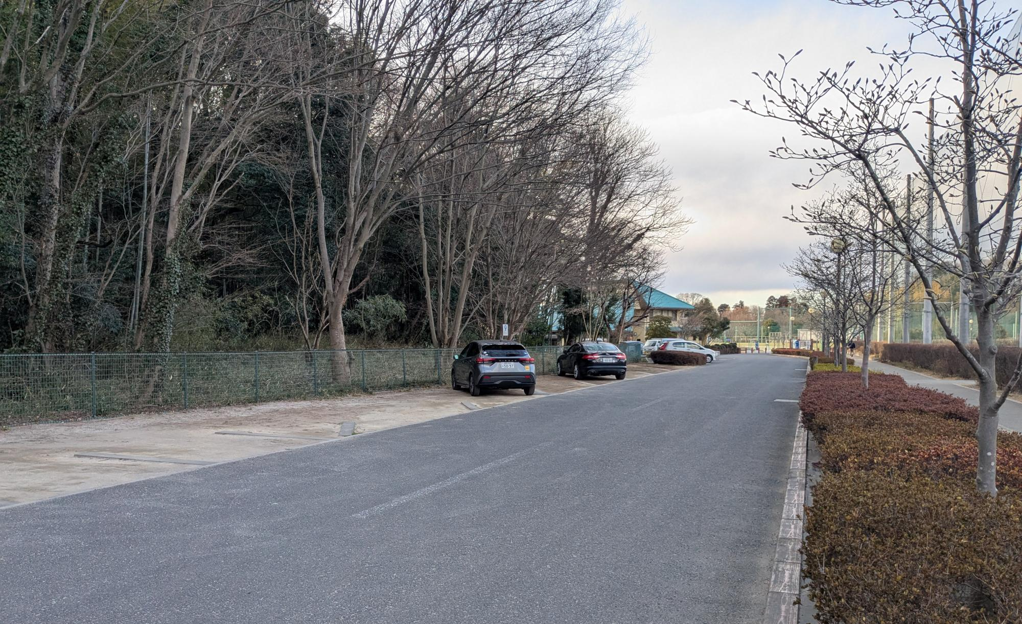 秋葉の森総合公園