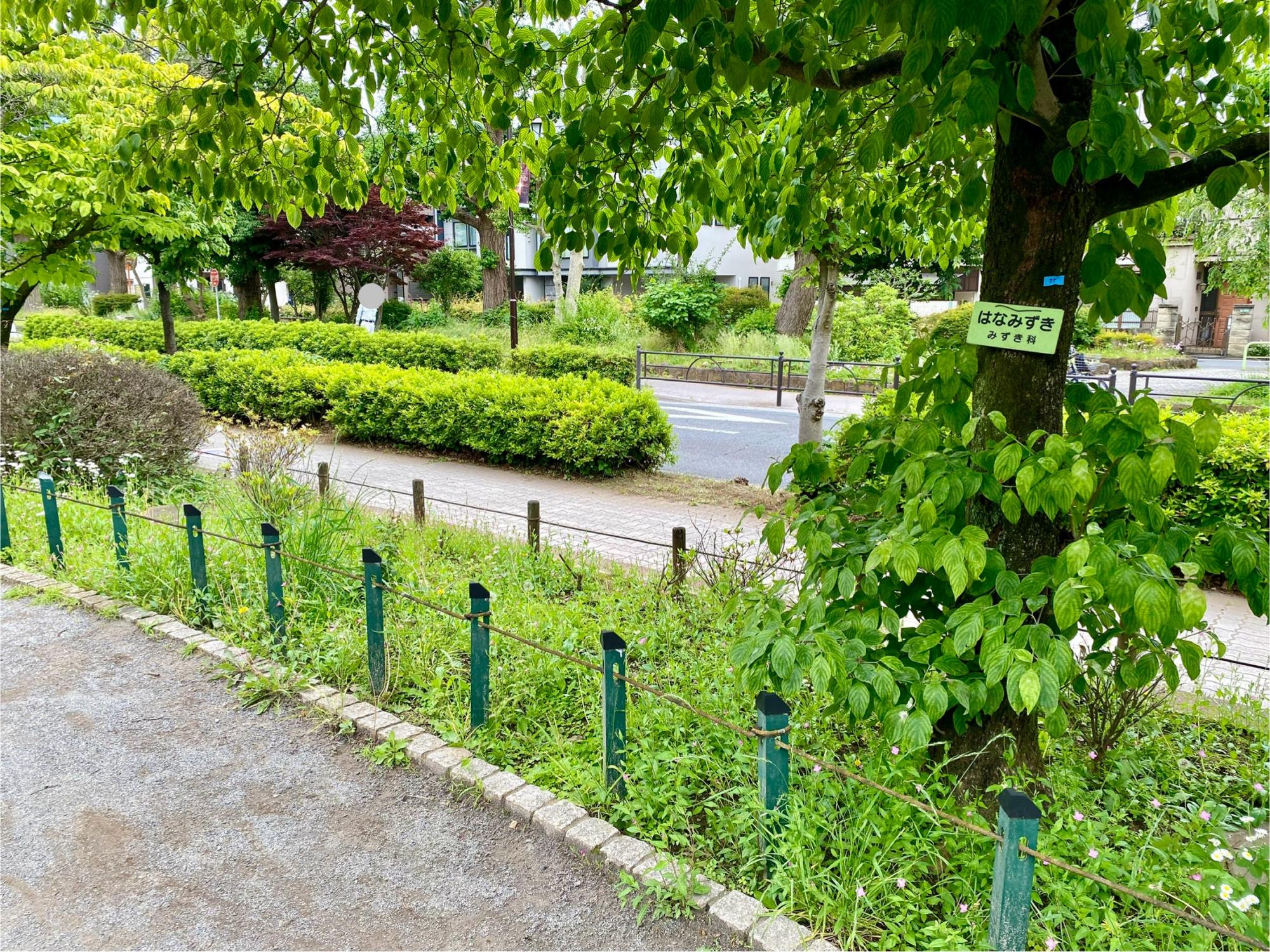 平成つつじ公園