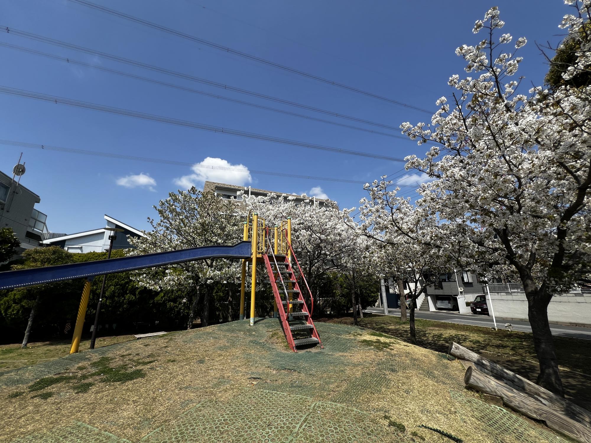 富士見第1街区公園（ローラー公園）