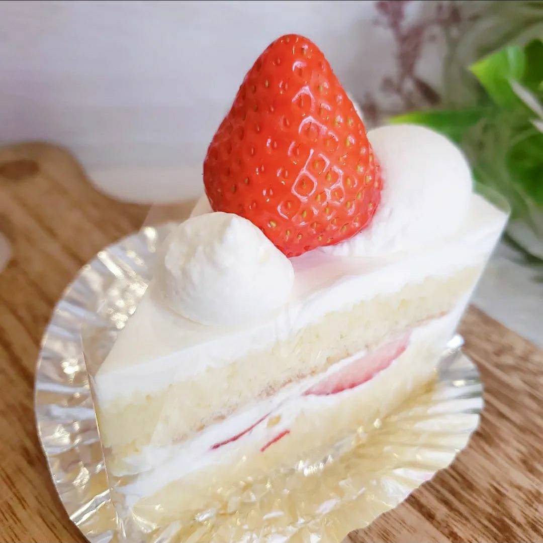 L‘arbre（ラルブル）