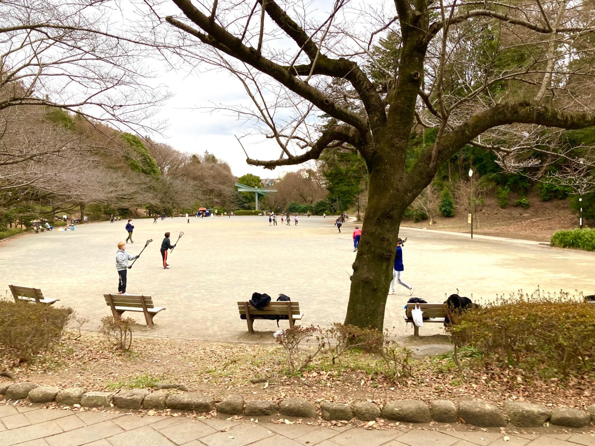 芹が谷公園