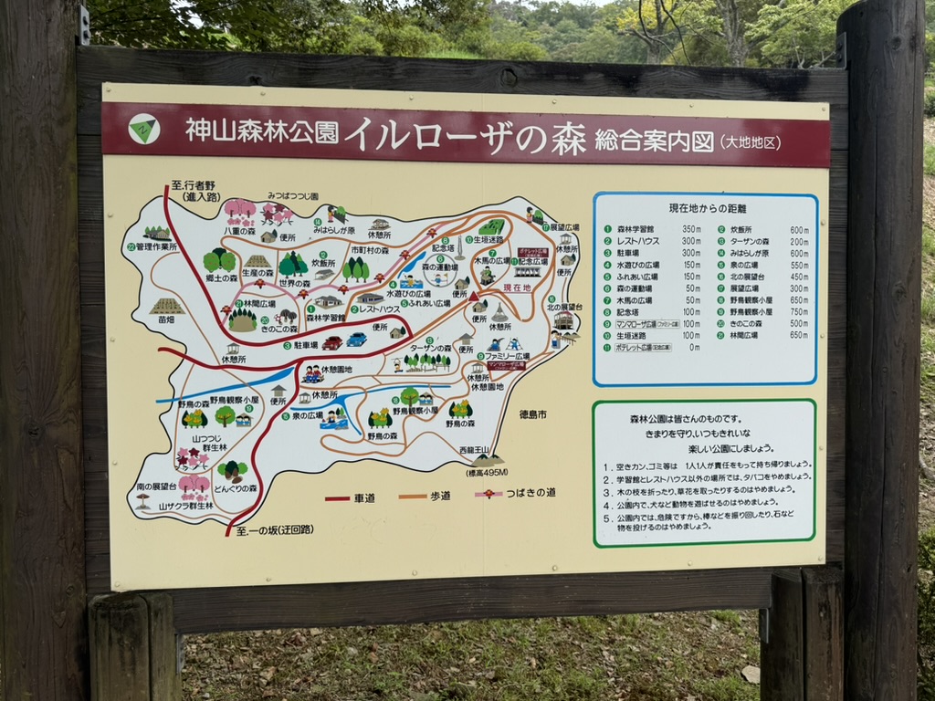 神山森林公園 イルローザの森