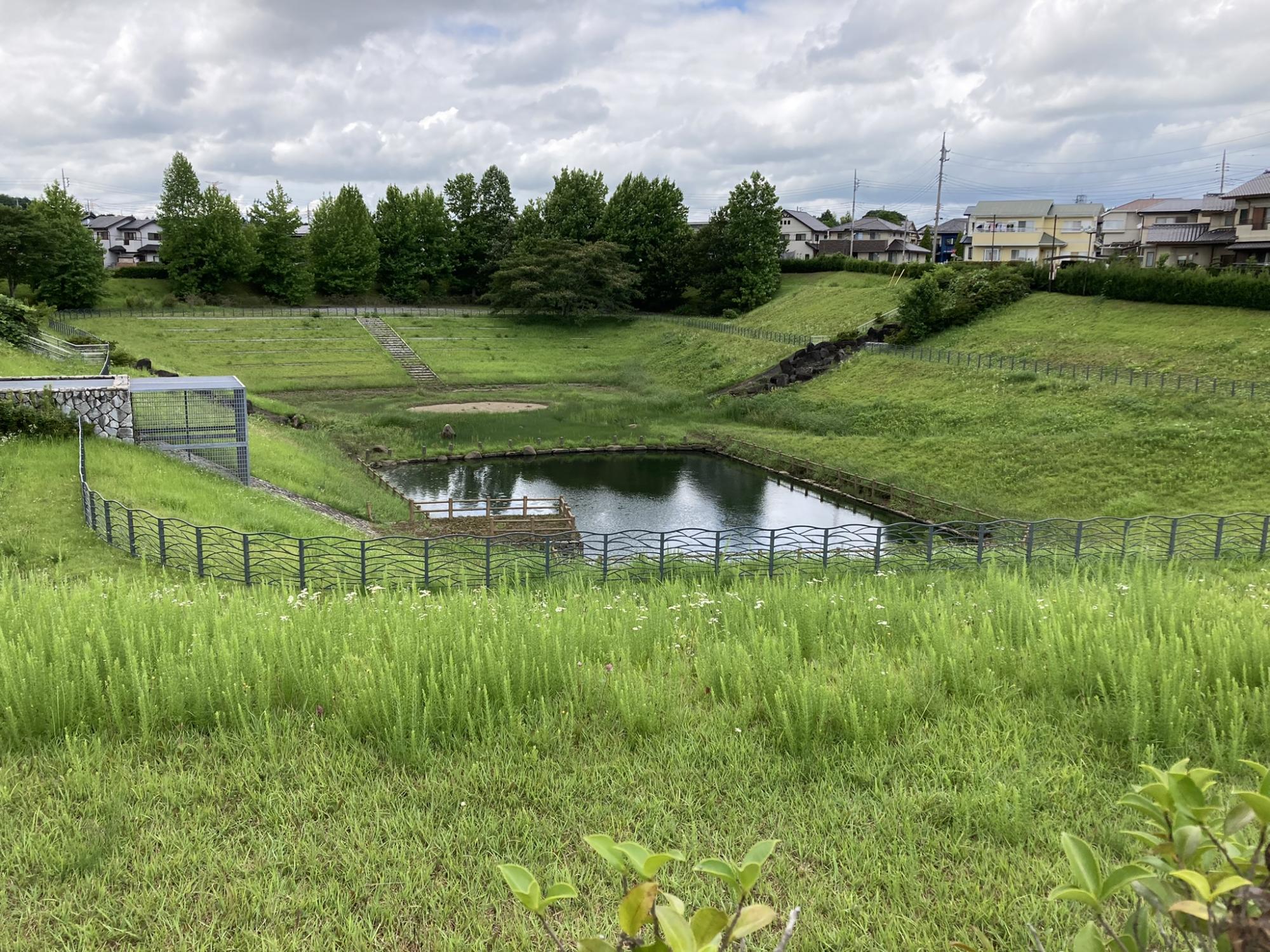 ふる里の杜公園