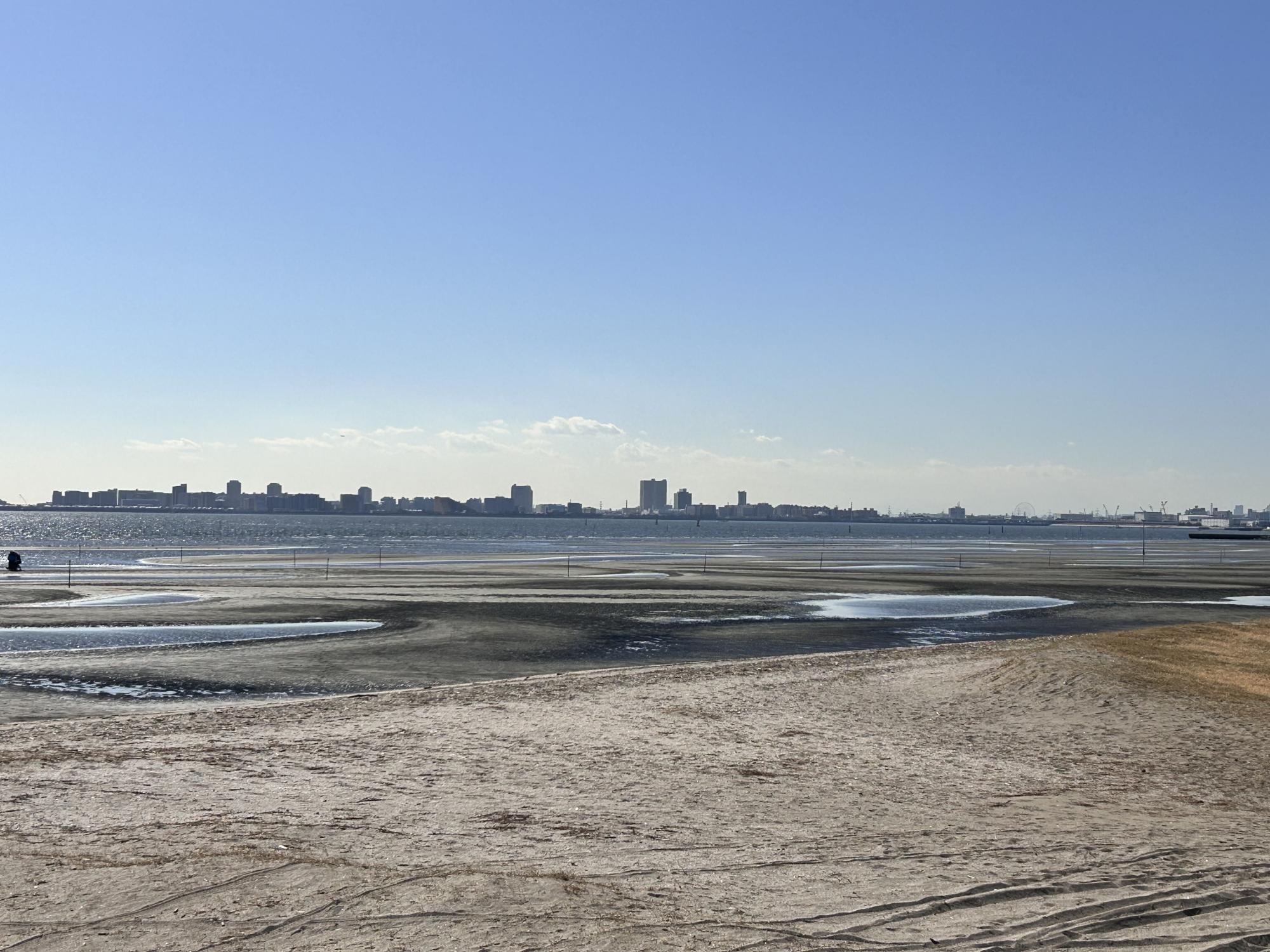 ふなばし三番瀬海浜公園