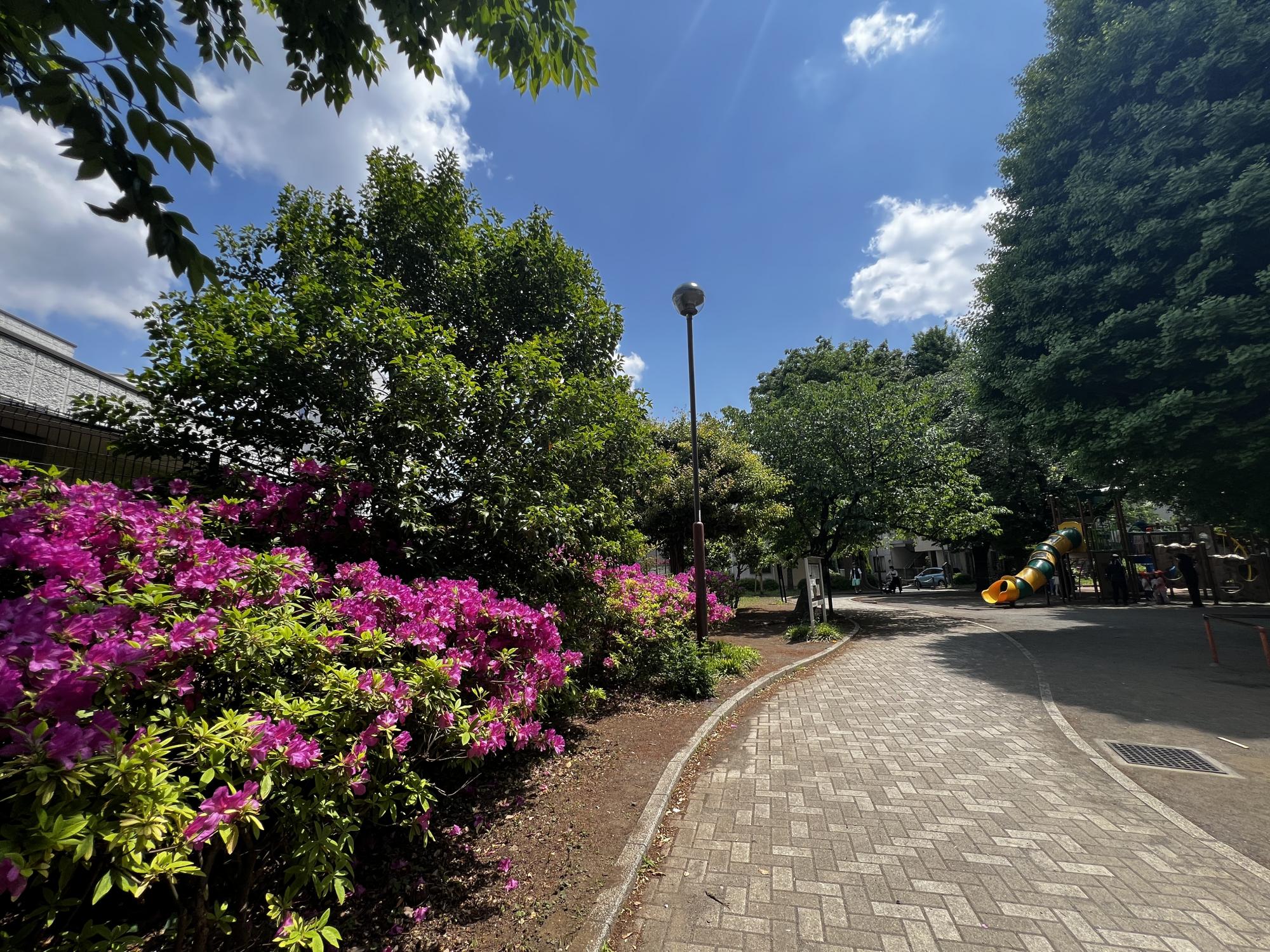 中野区立城山公園