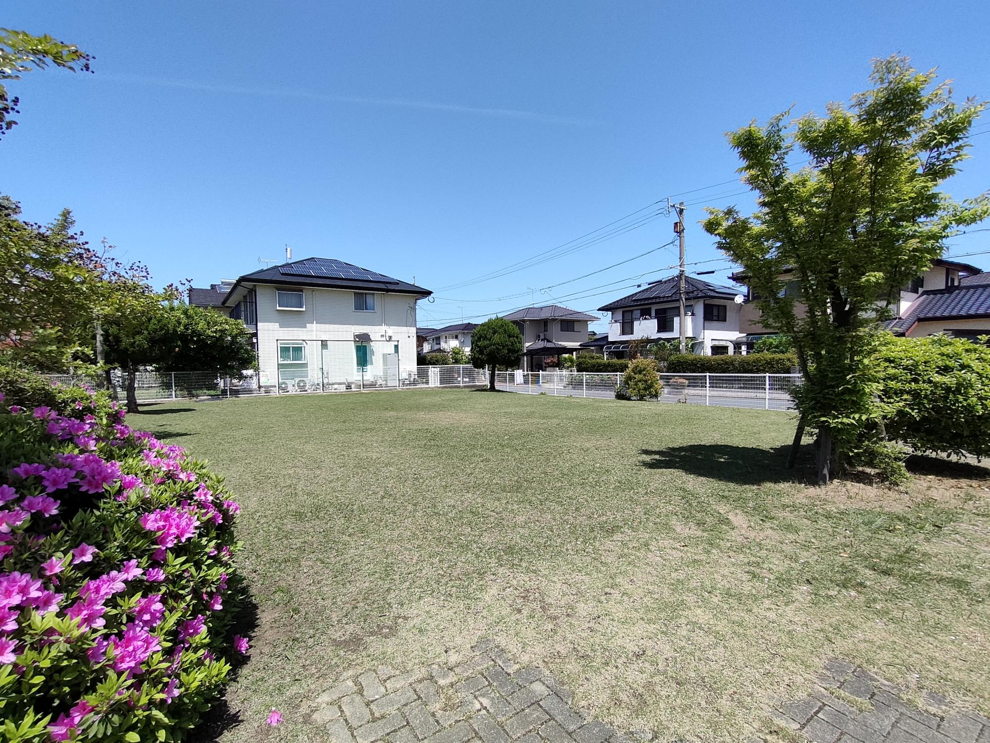天崎公園