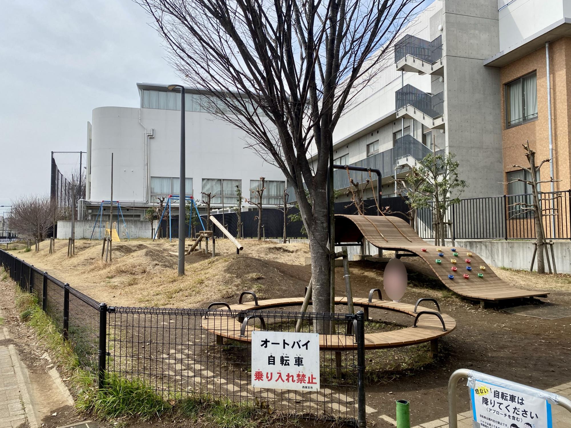 ひばりが丘さくらの道公園
