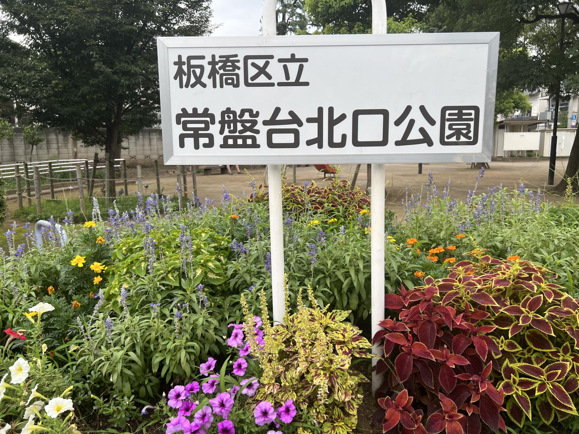 板橋区立常盤台北口公園