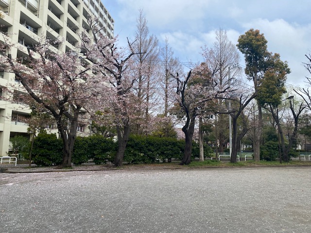 下丸子2丁目公園・下丸子多摩川公園