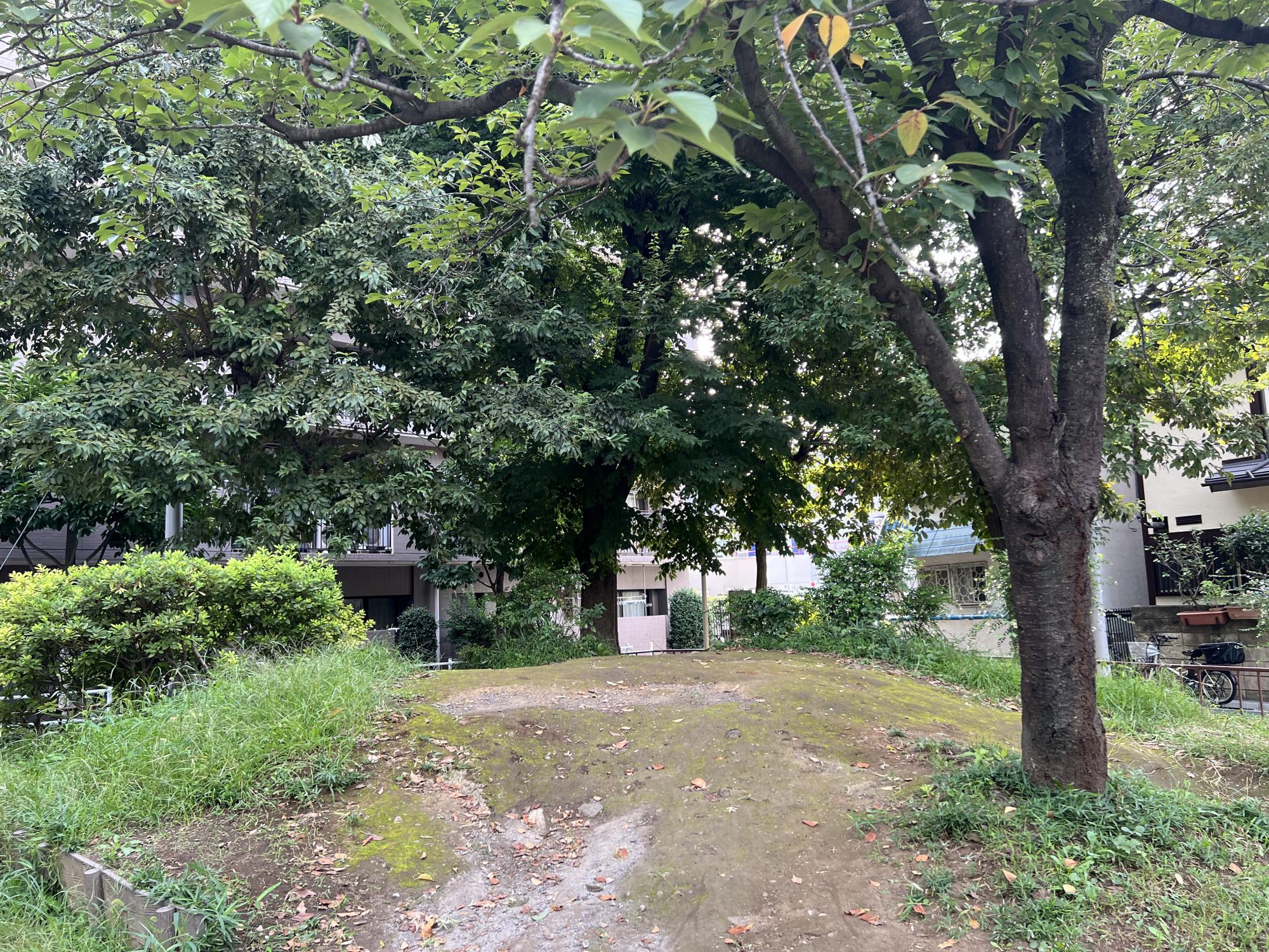 板橋区立蓮根みなみ公園