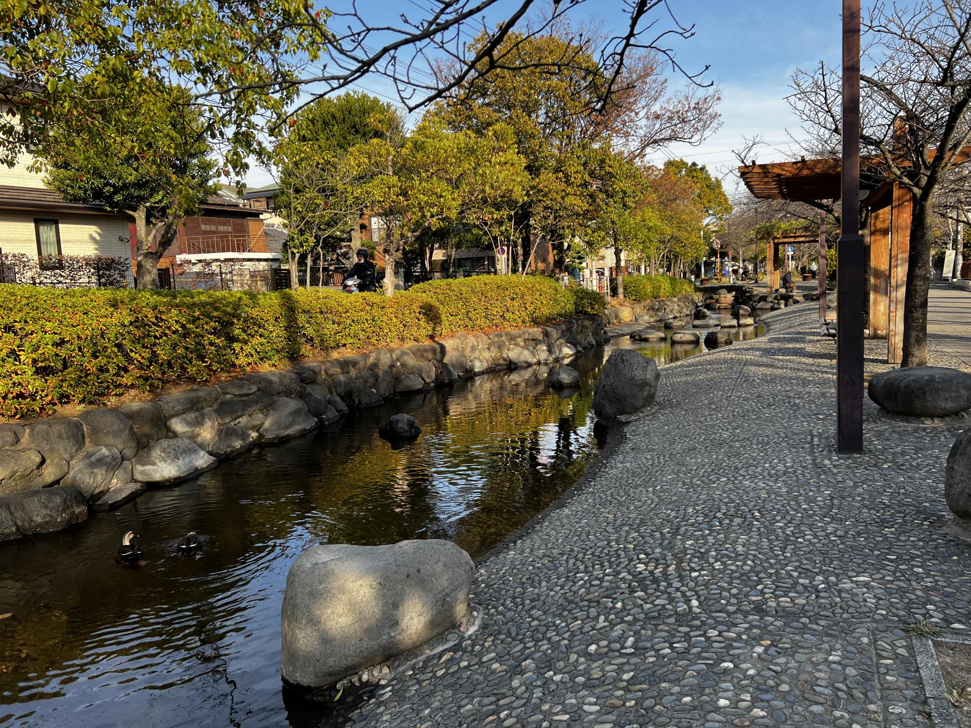 ニノ江さくら公園