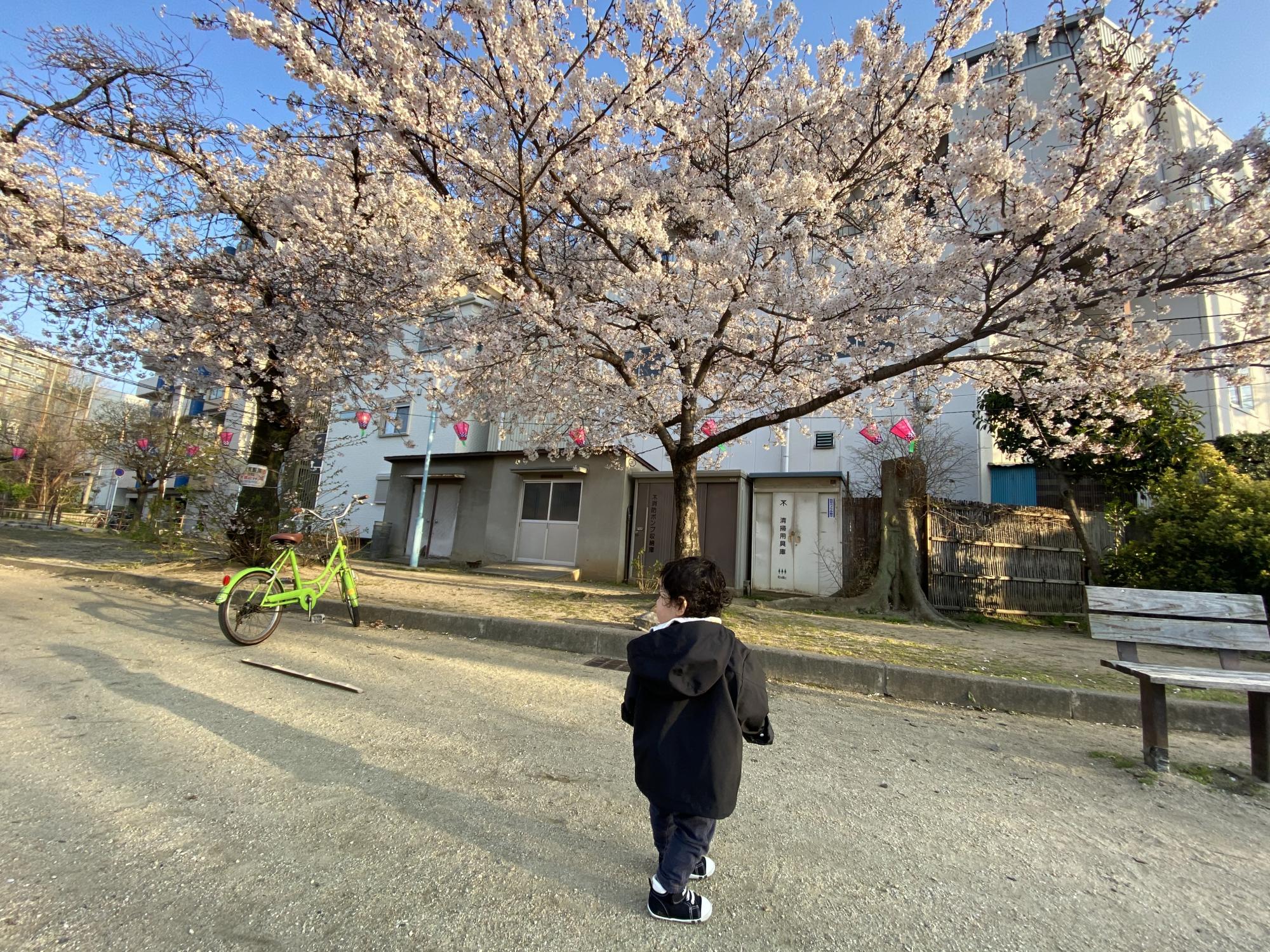 立葉町公園