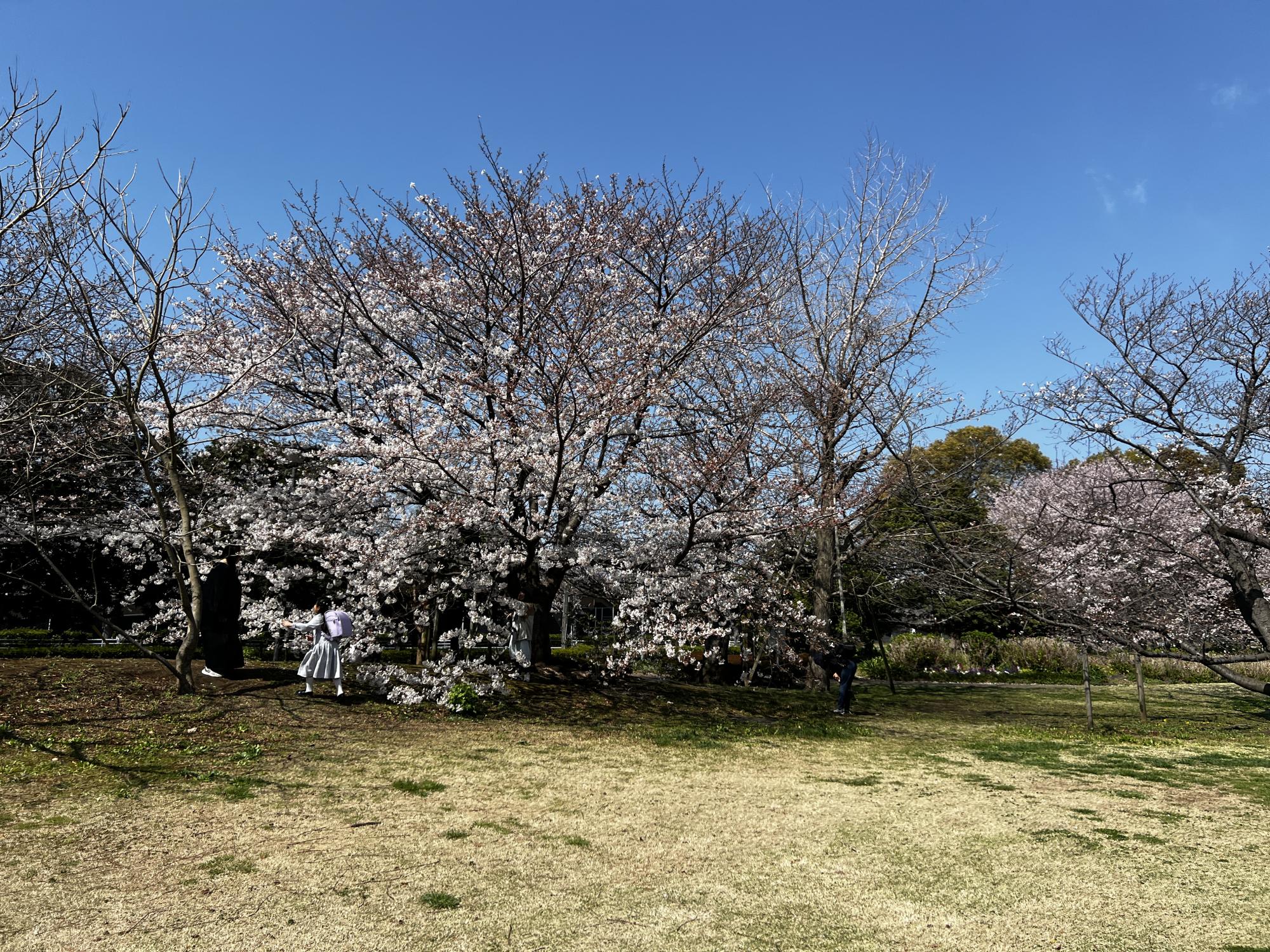 弁天ふれあいの森公園