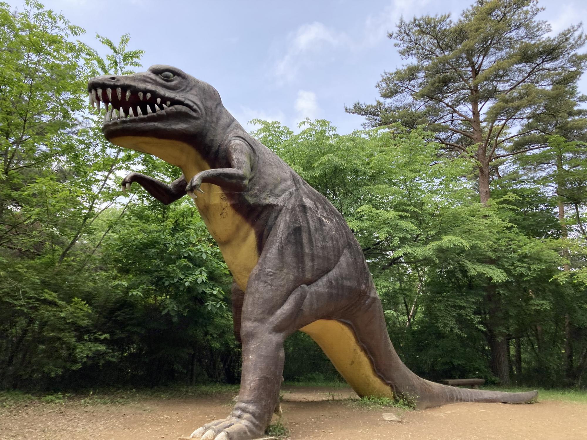 水戸市森林公園