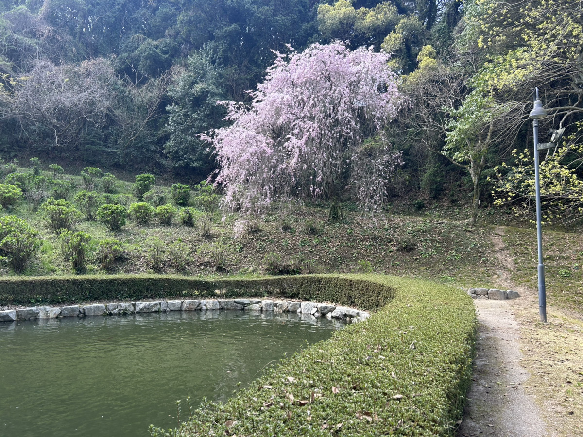 藤山健康文化公園