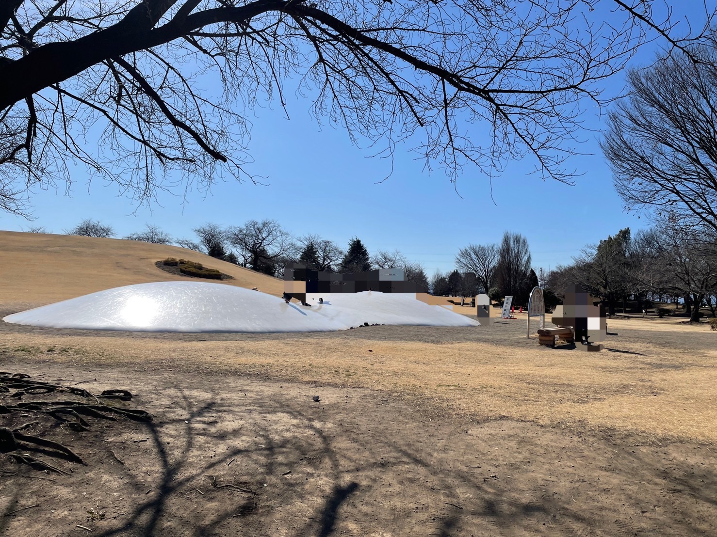 いせさき市民のもり公園