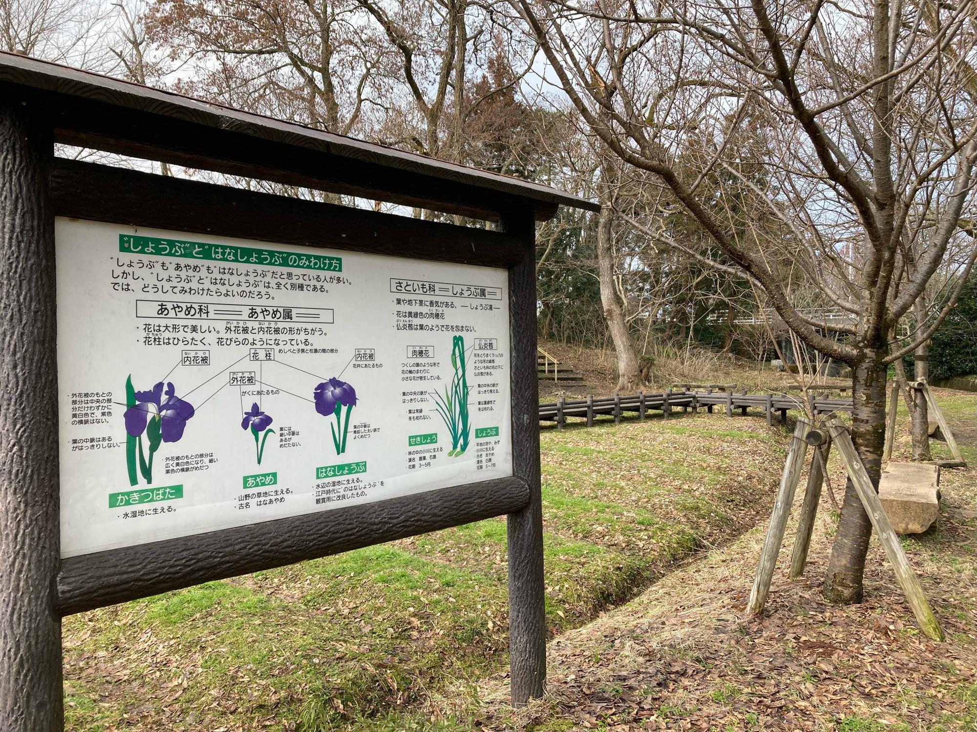 行田公園