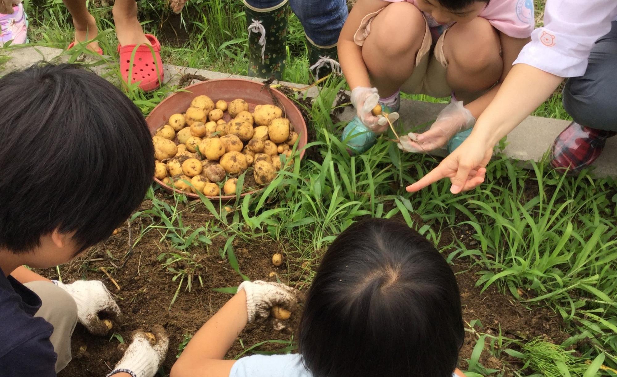 Ponteとやま  みやの森カフェ