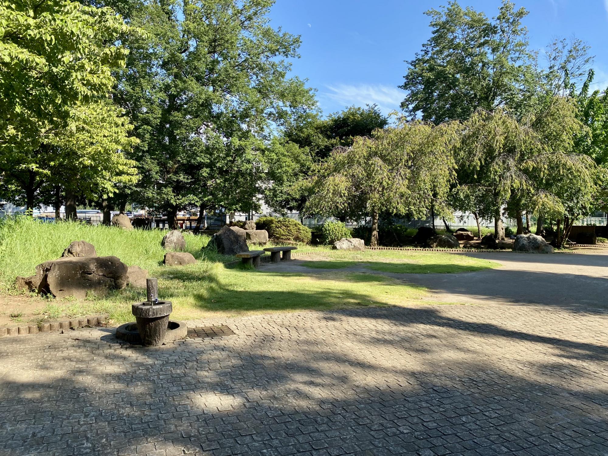 野火止公園