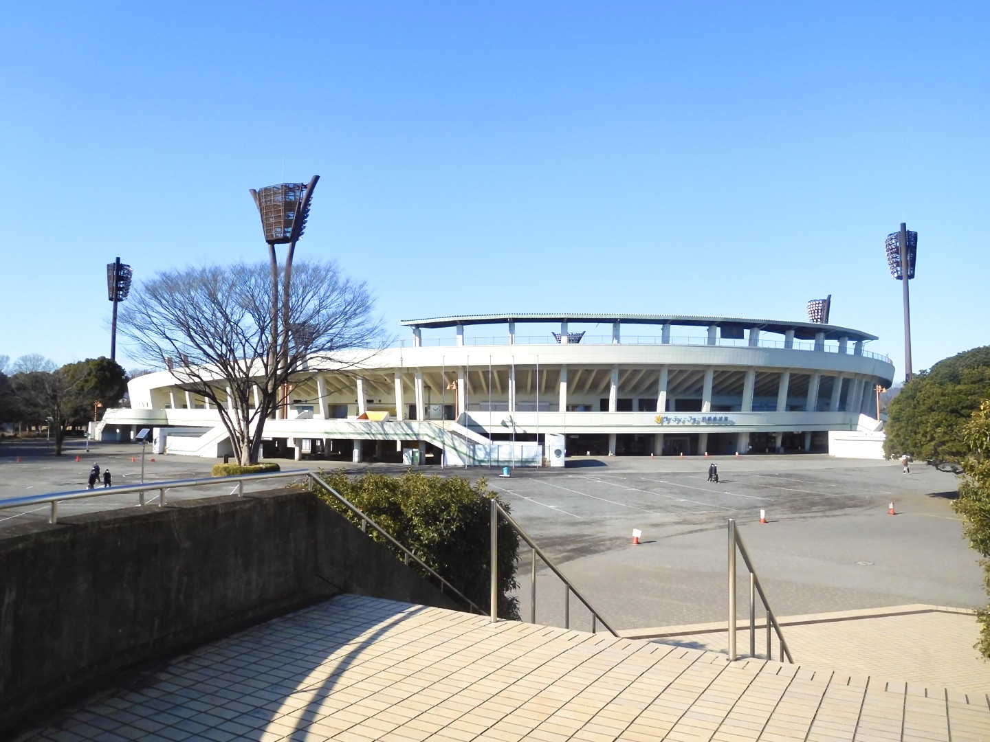 相模原市淵野辺公園