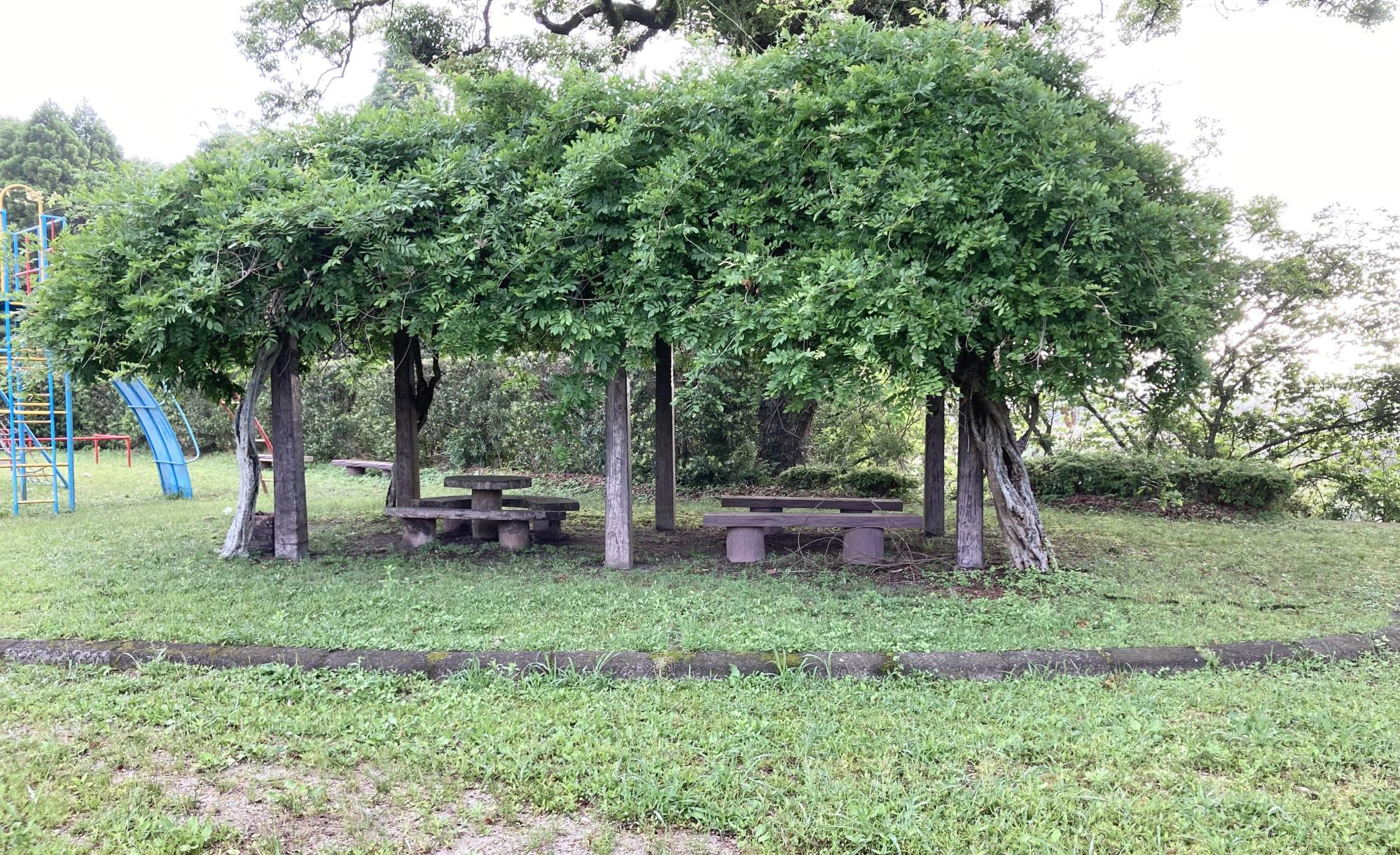 とどろ公園