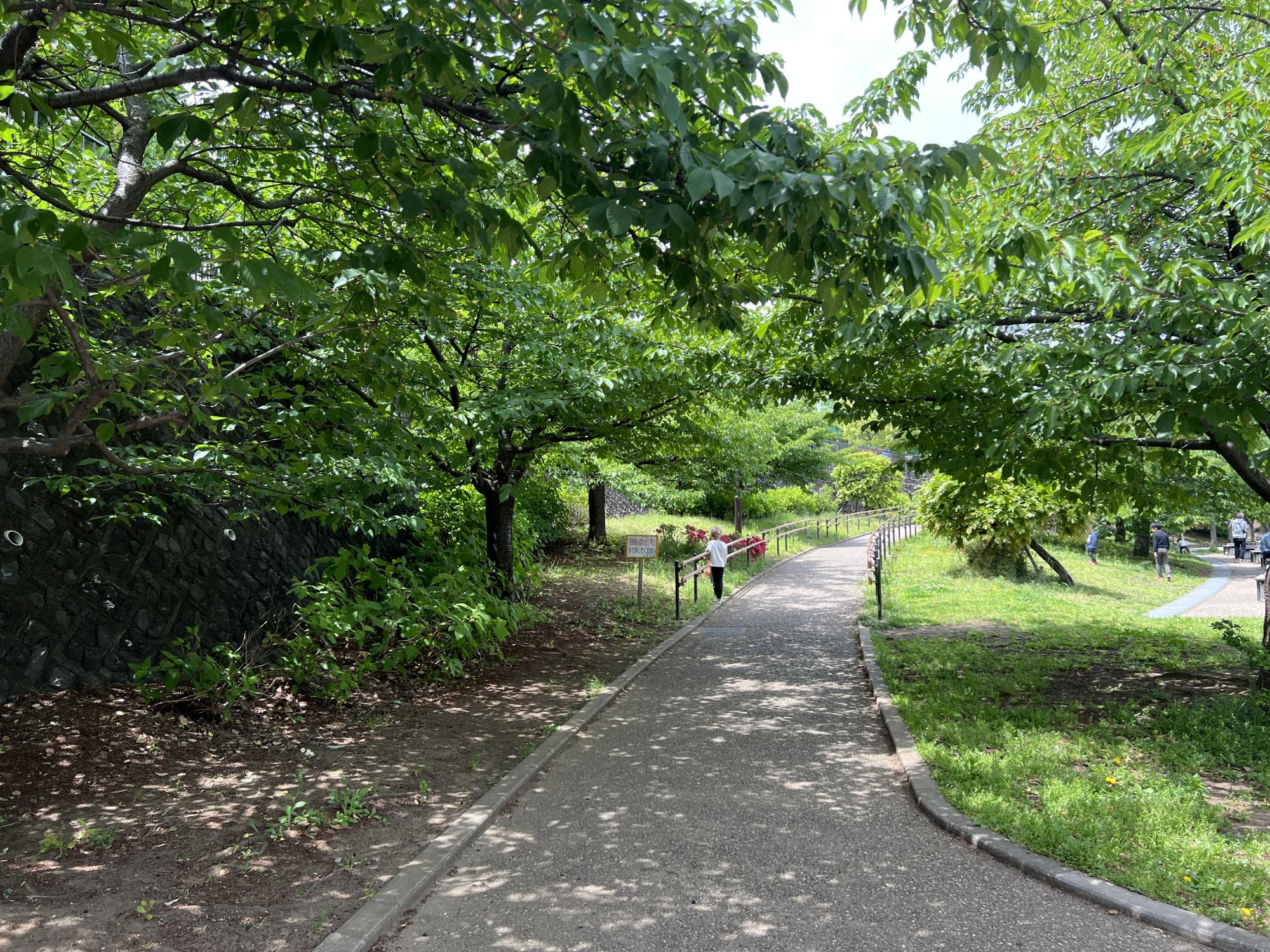 北区立西ケ原みんなの公園