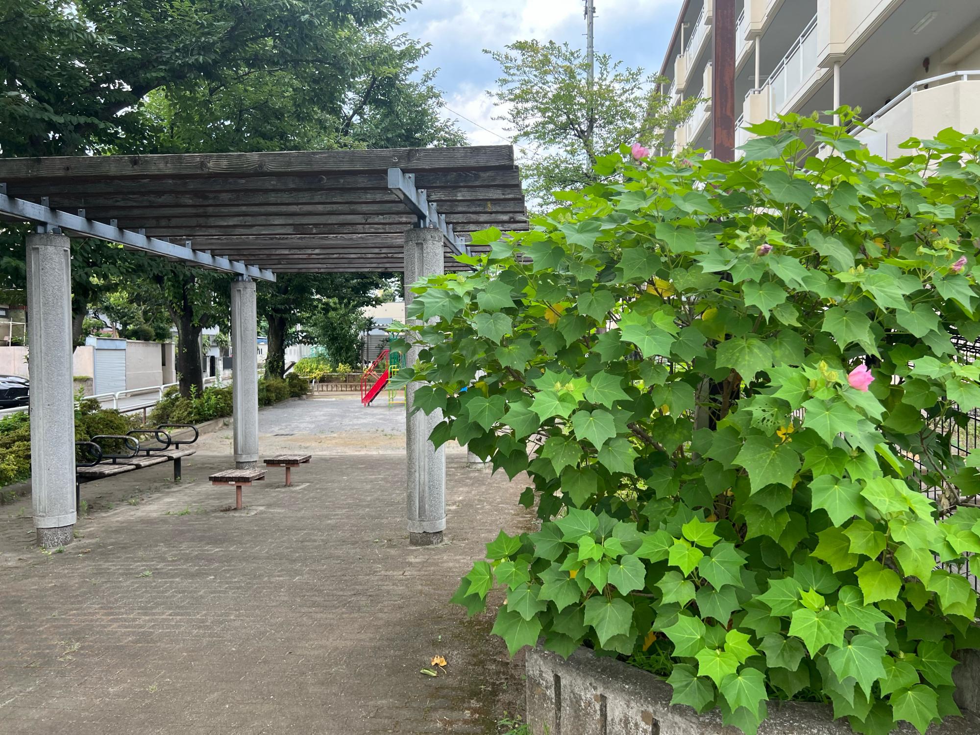 板橋区立東前野公園