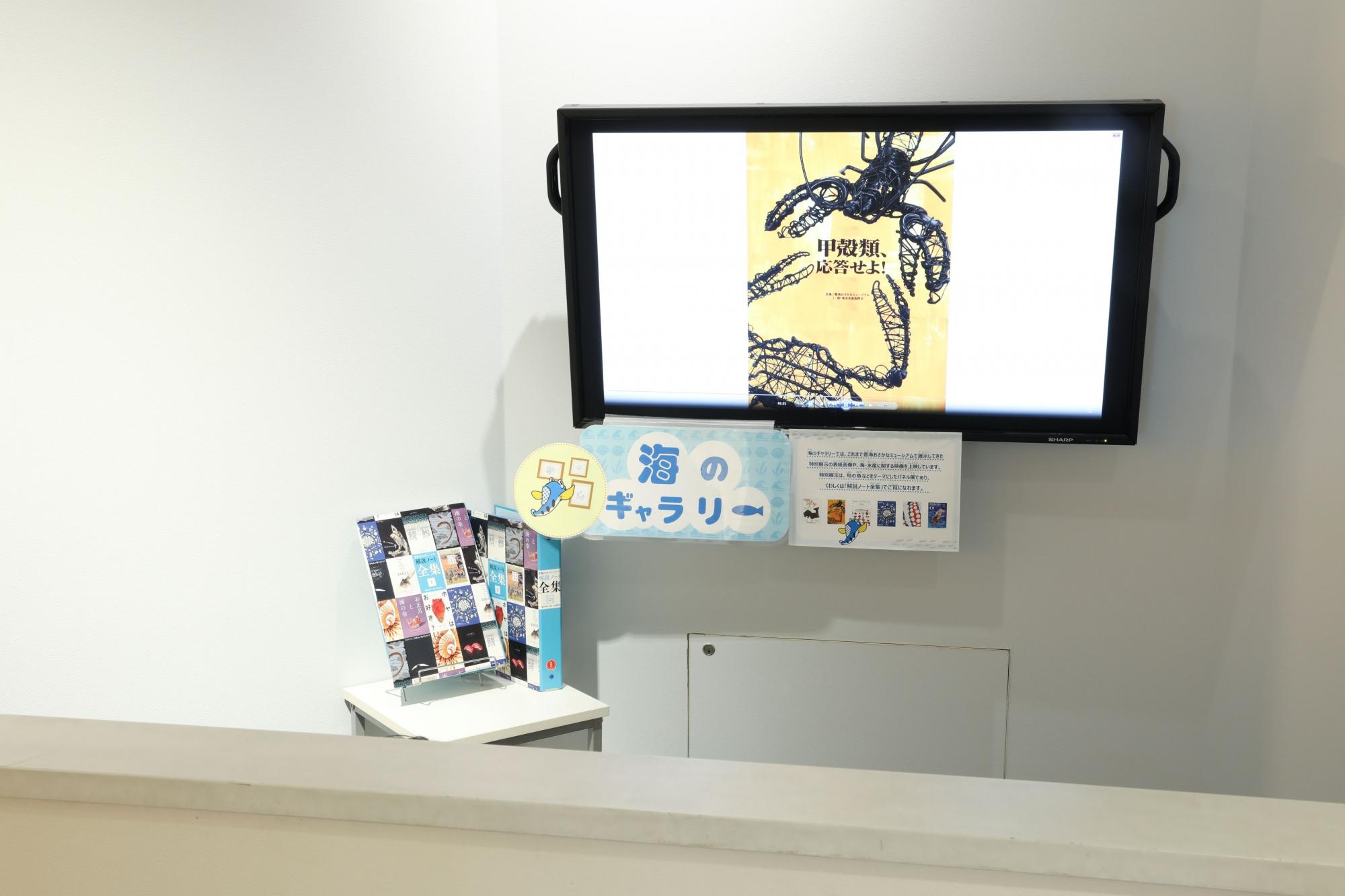 豊海おさかなミュージアム