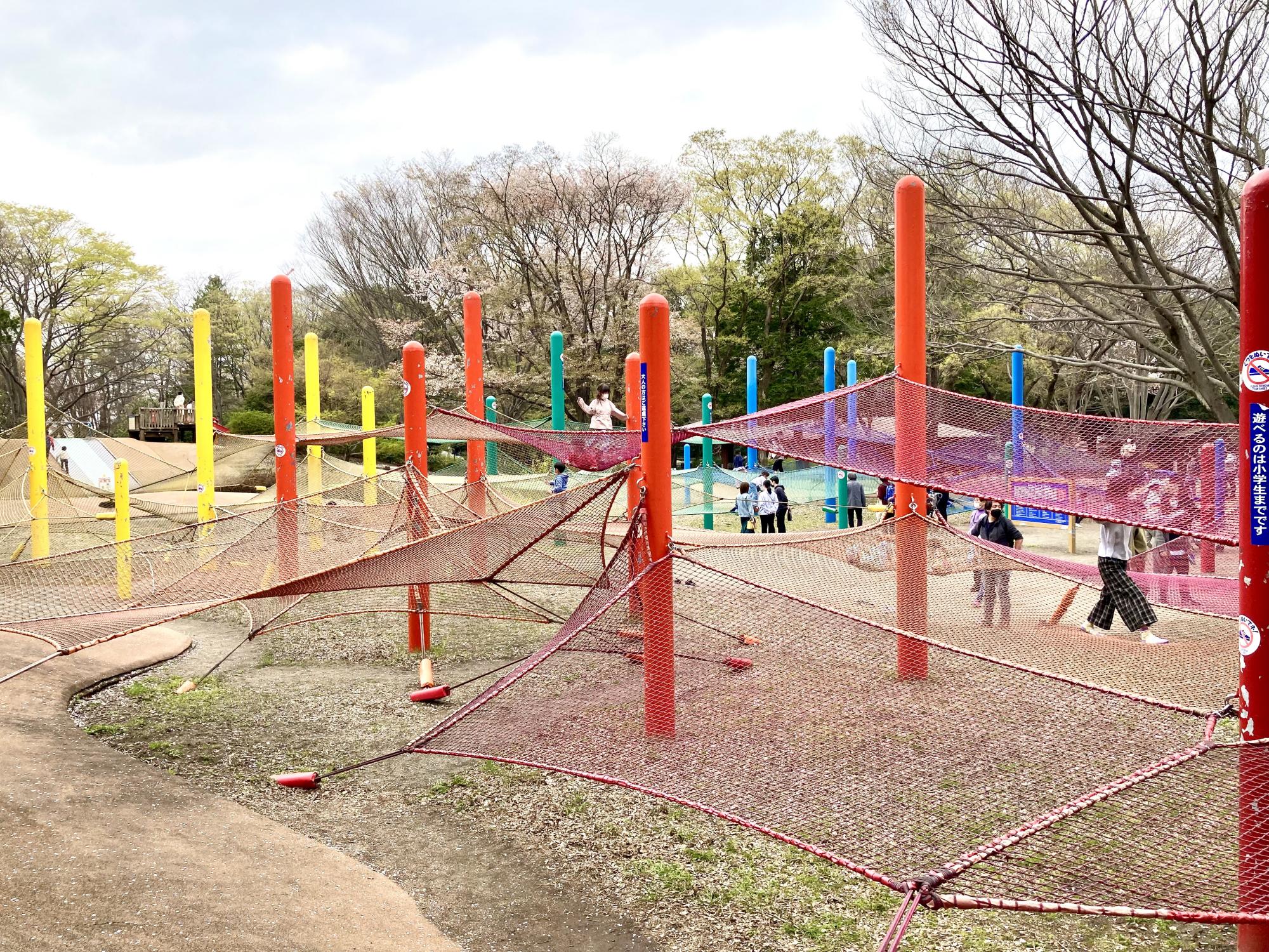 国営昭和記念公園