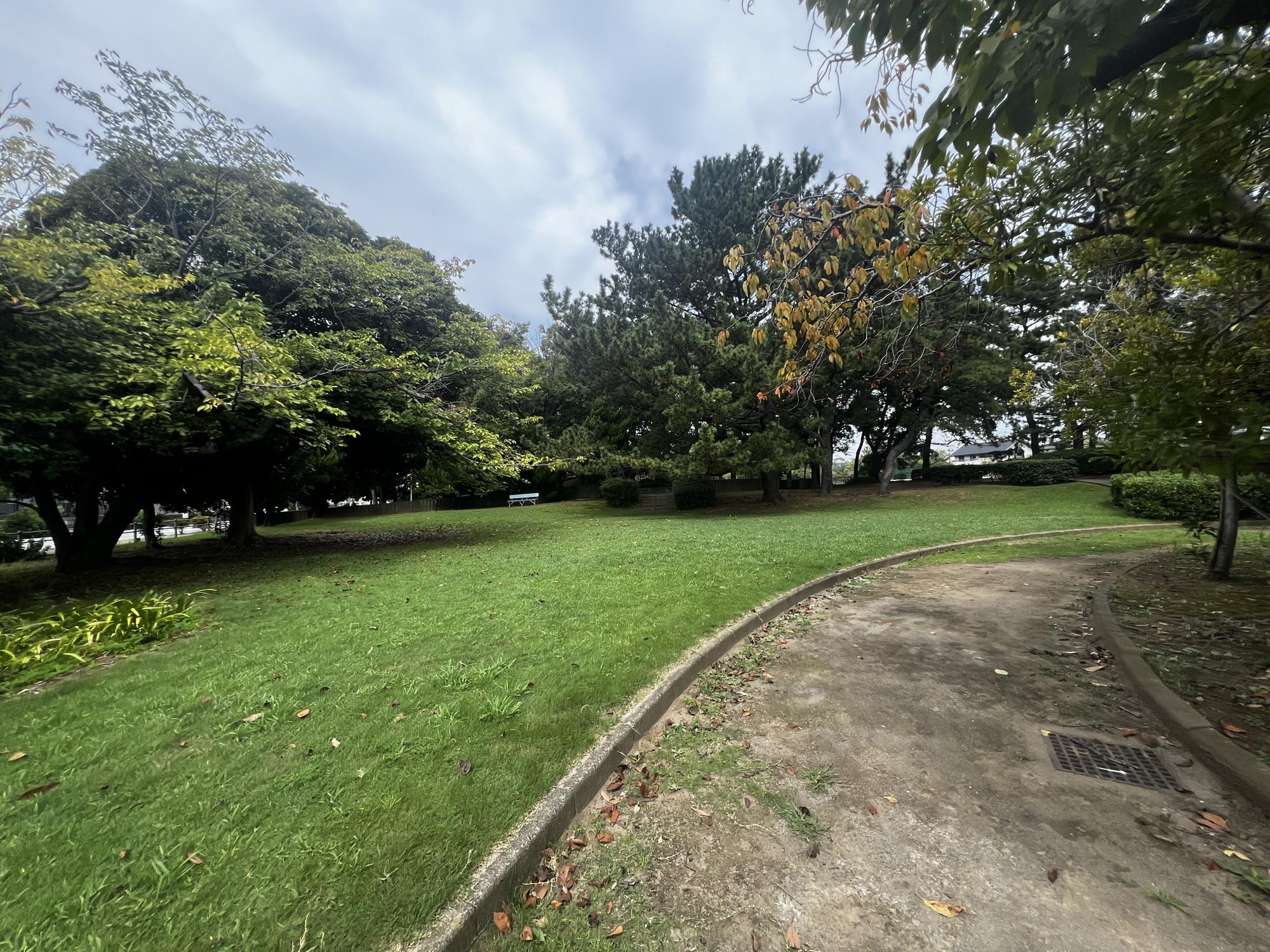 北高浜公園