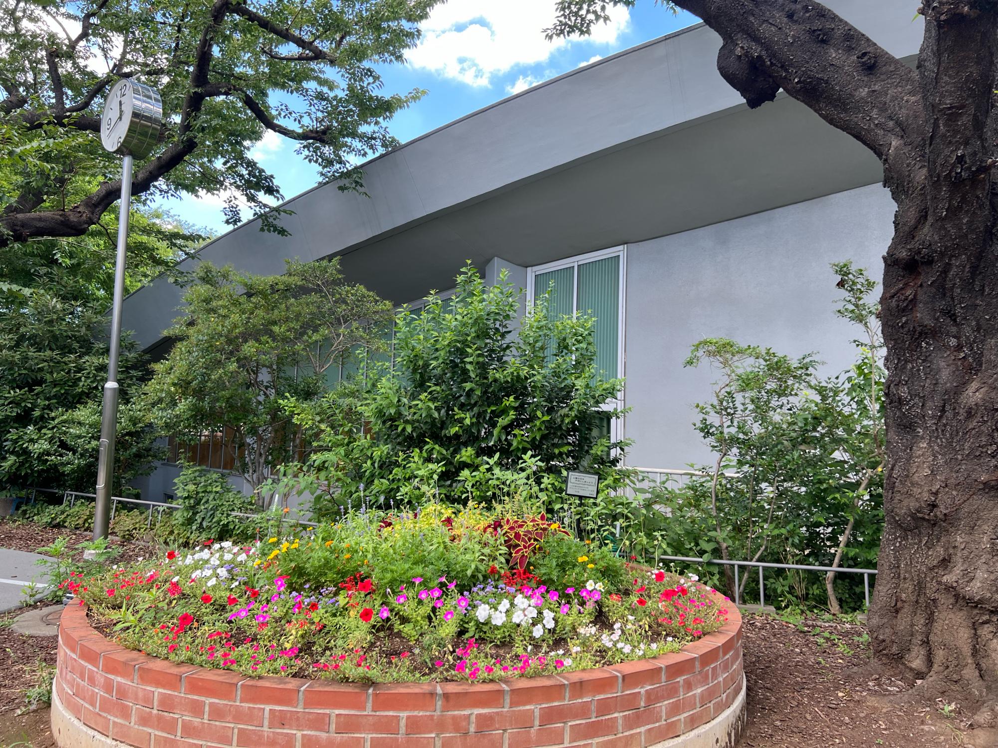 小豆沢スポーツフィールド