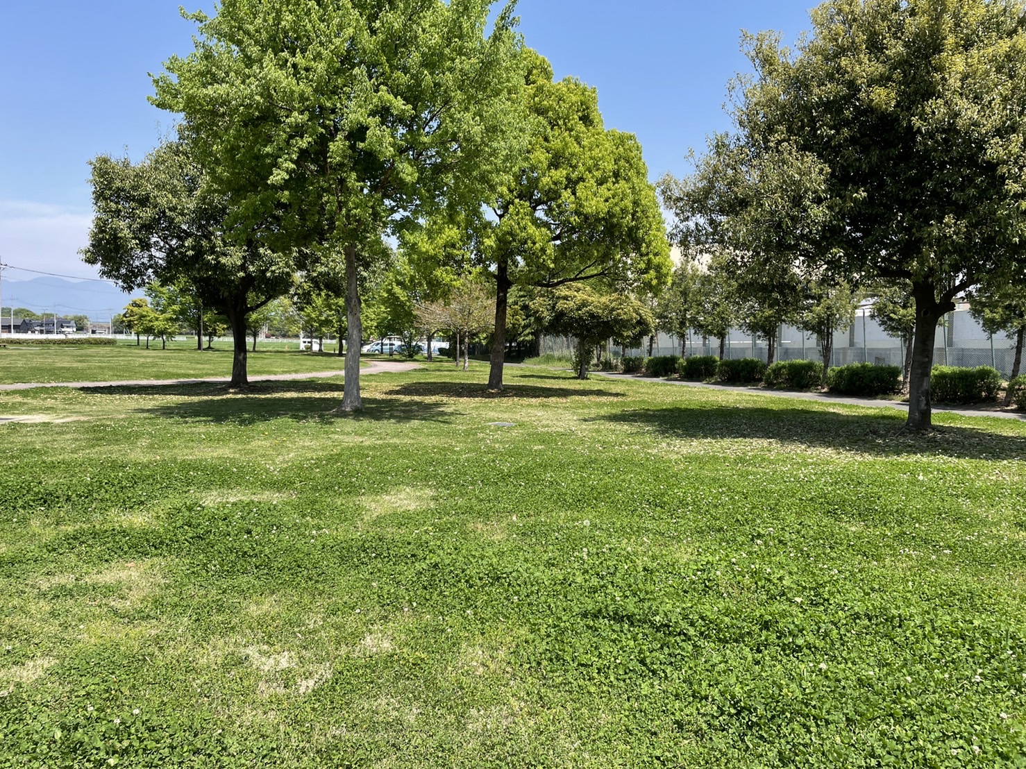 あずま中央公園