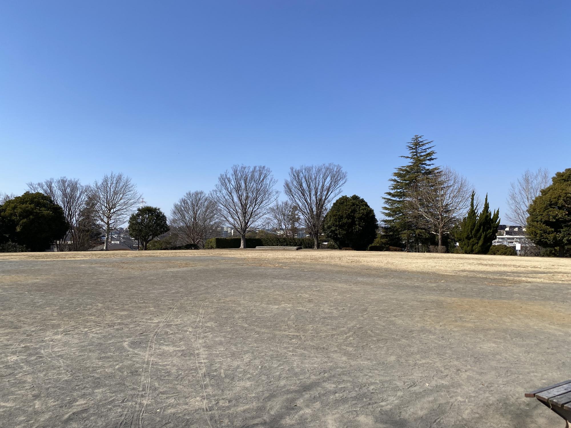 あざみ野東公園