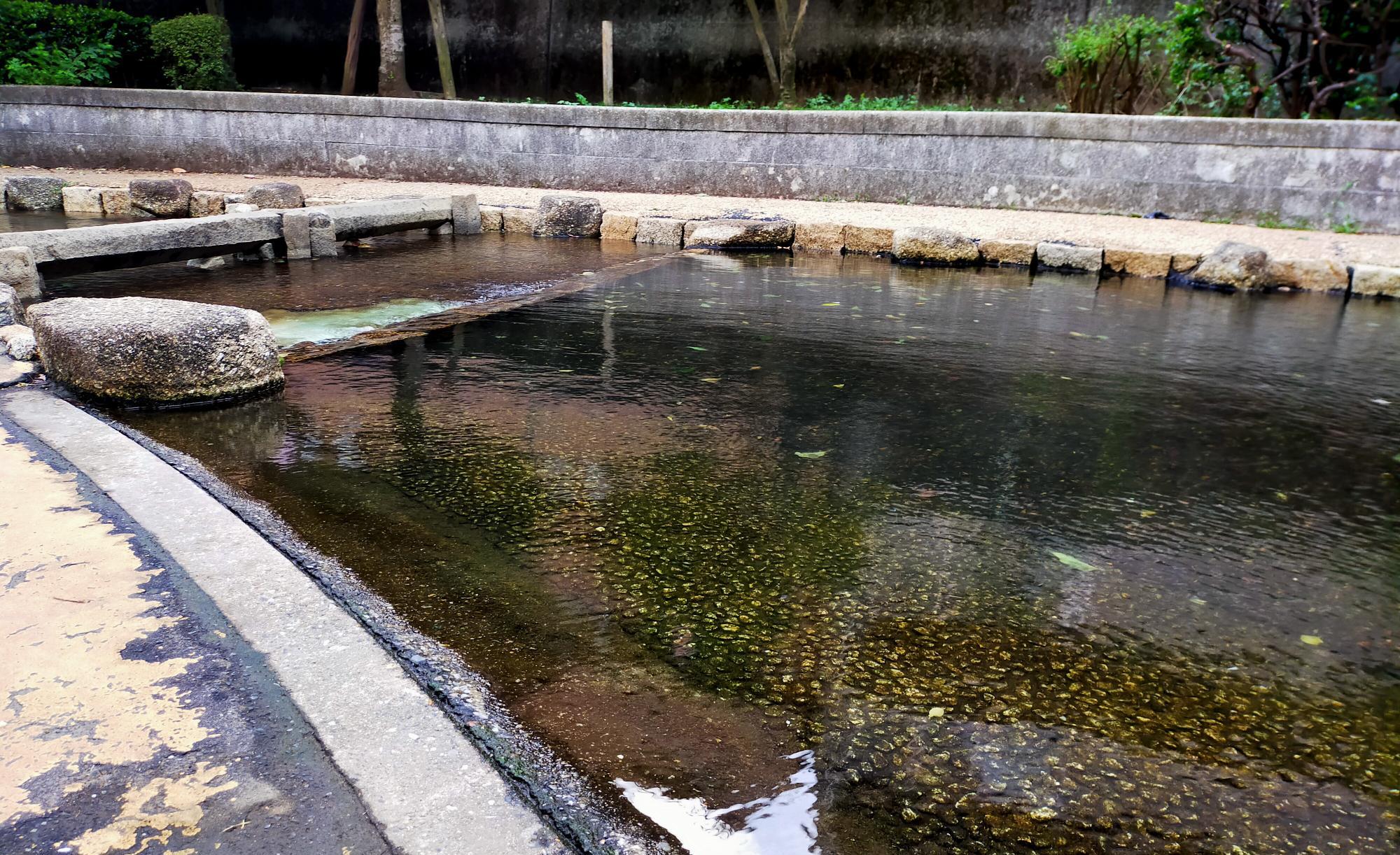 大横川親水公園