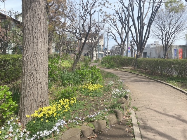 くすのき公園