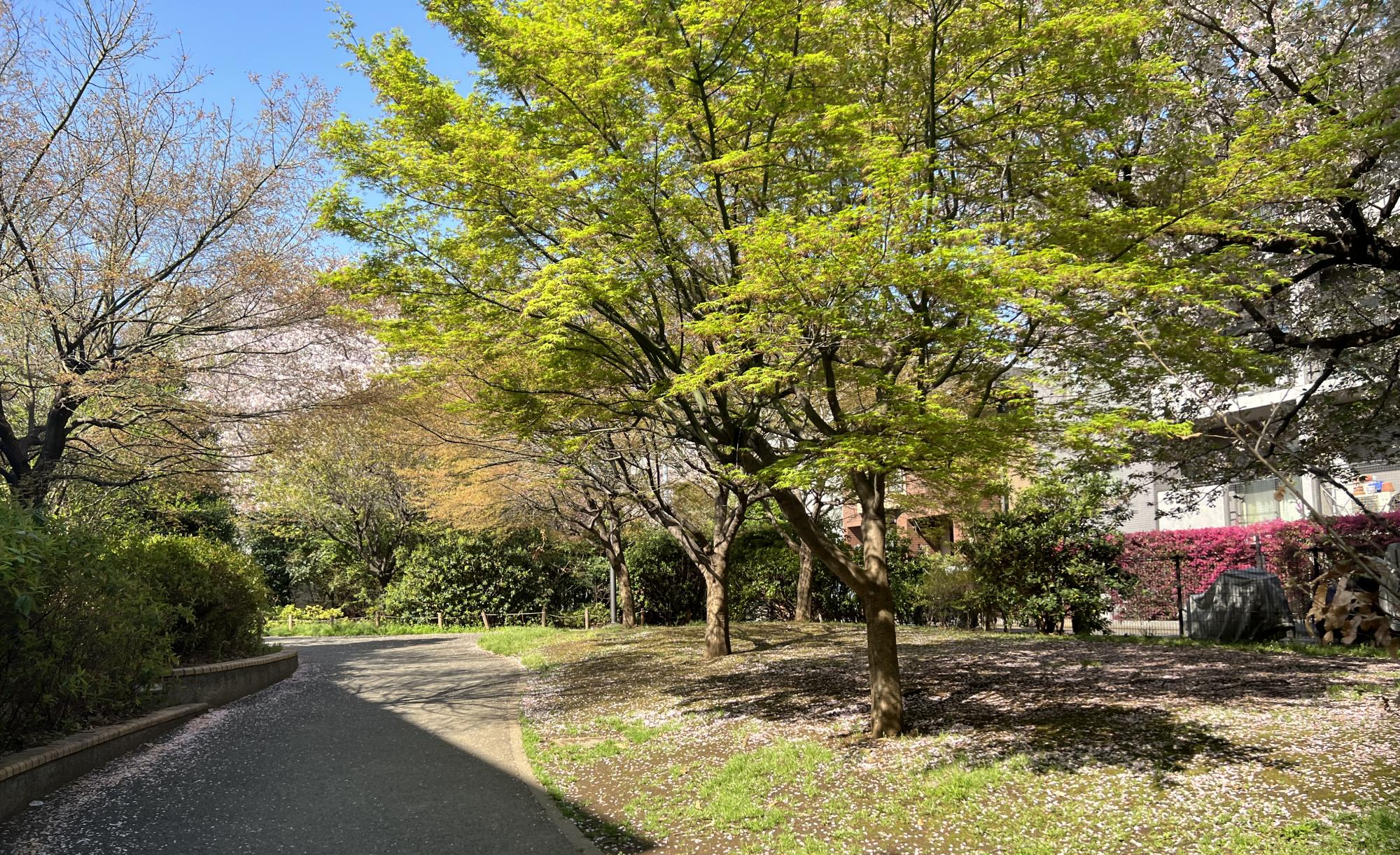 豊島区立上池袋東公園
