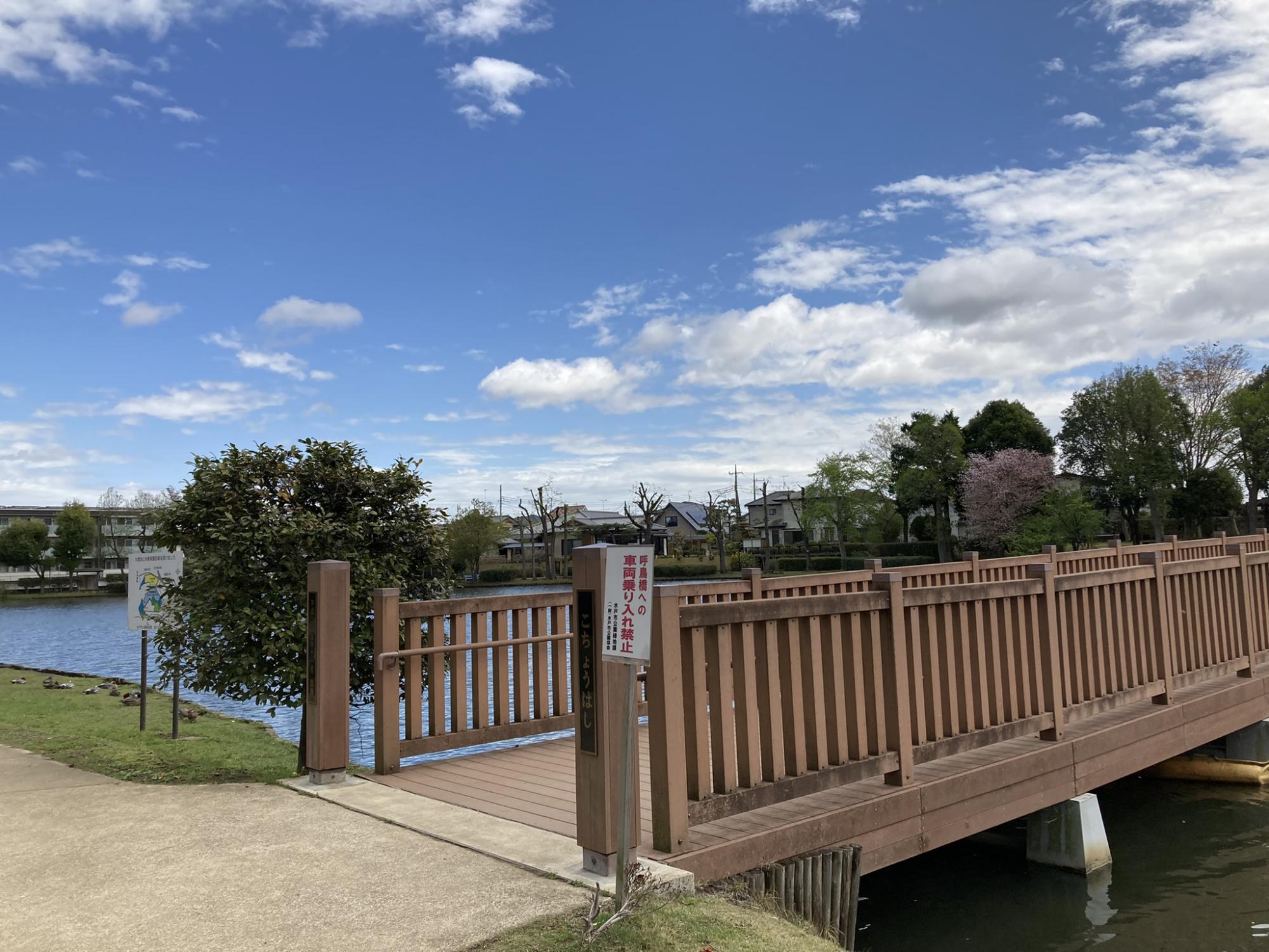 大塚池公園