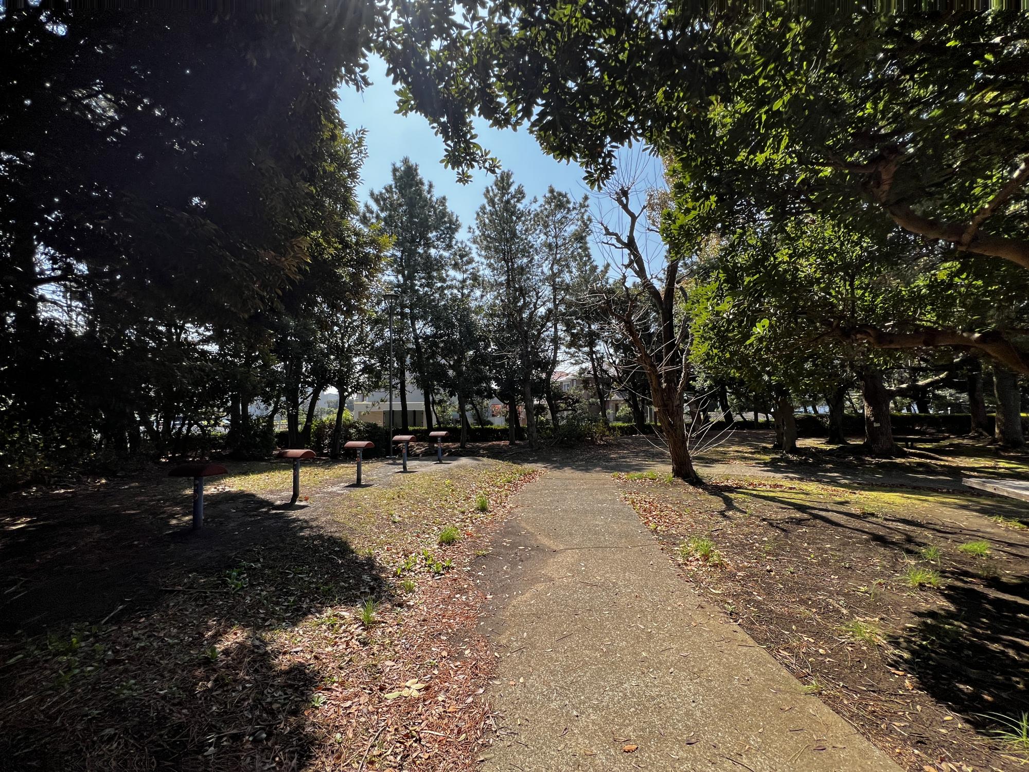 今川トリム公園