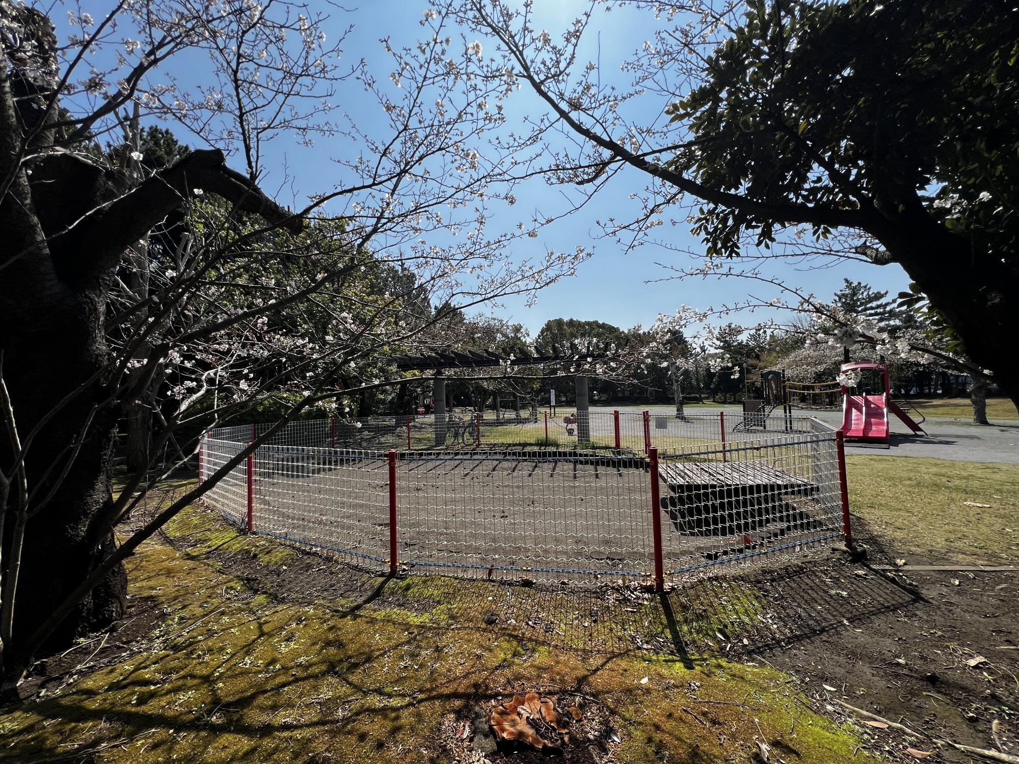 今川トリム公園