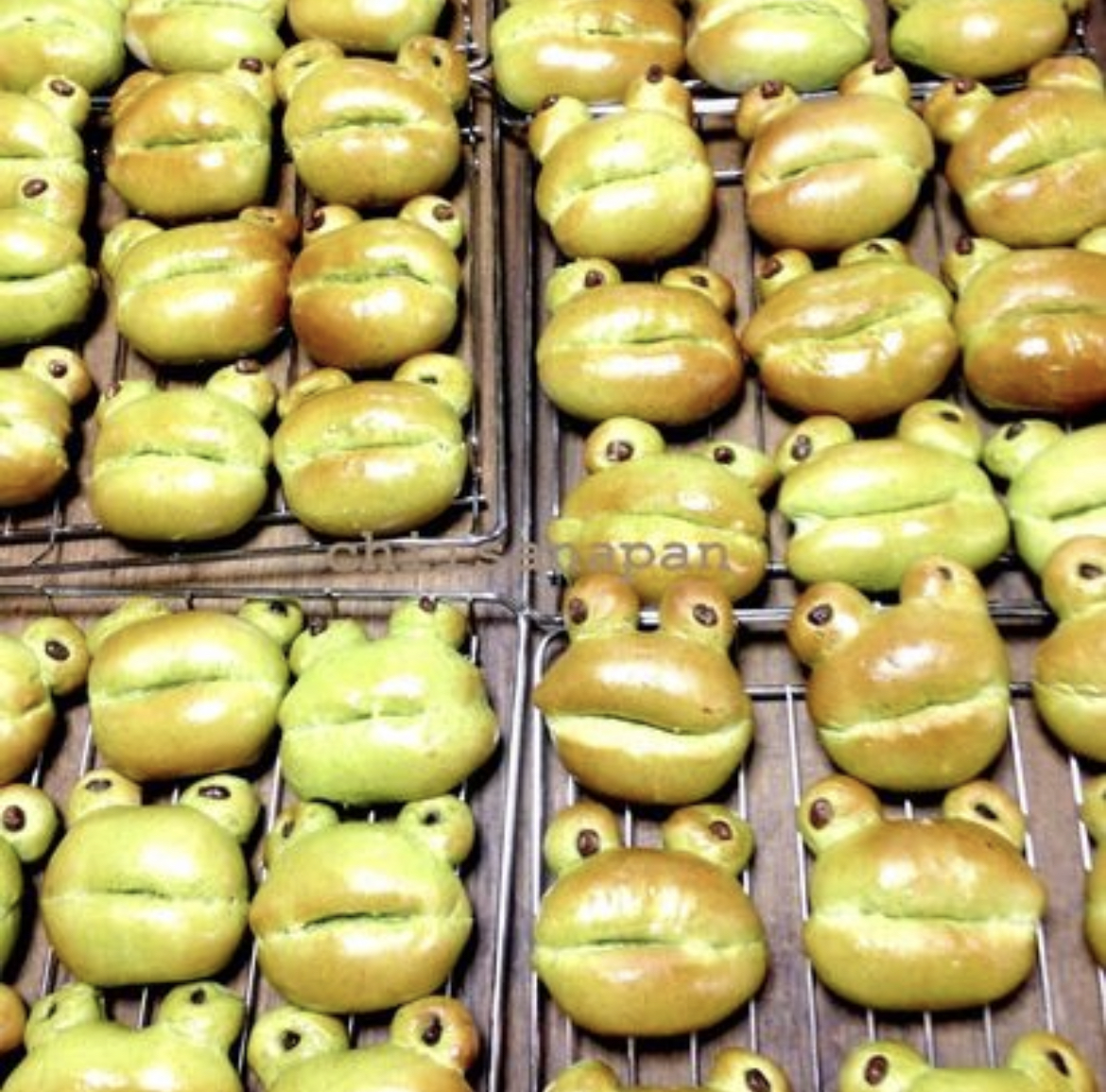 西尾パン教室/松本パン