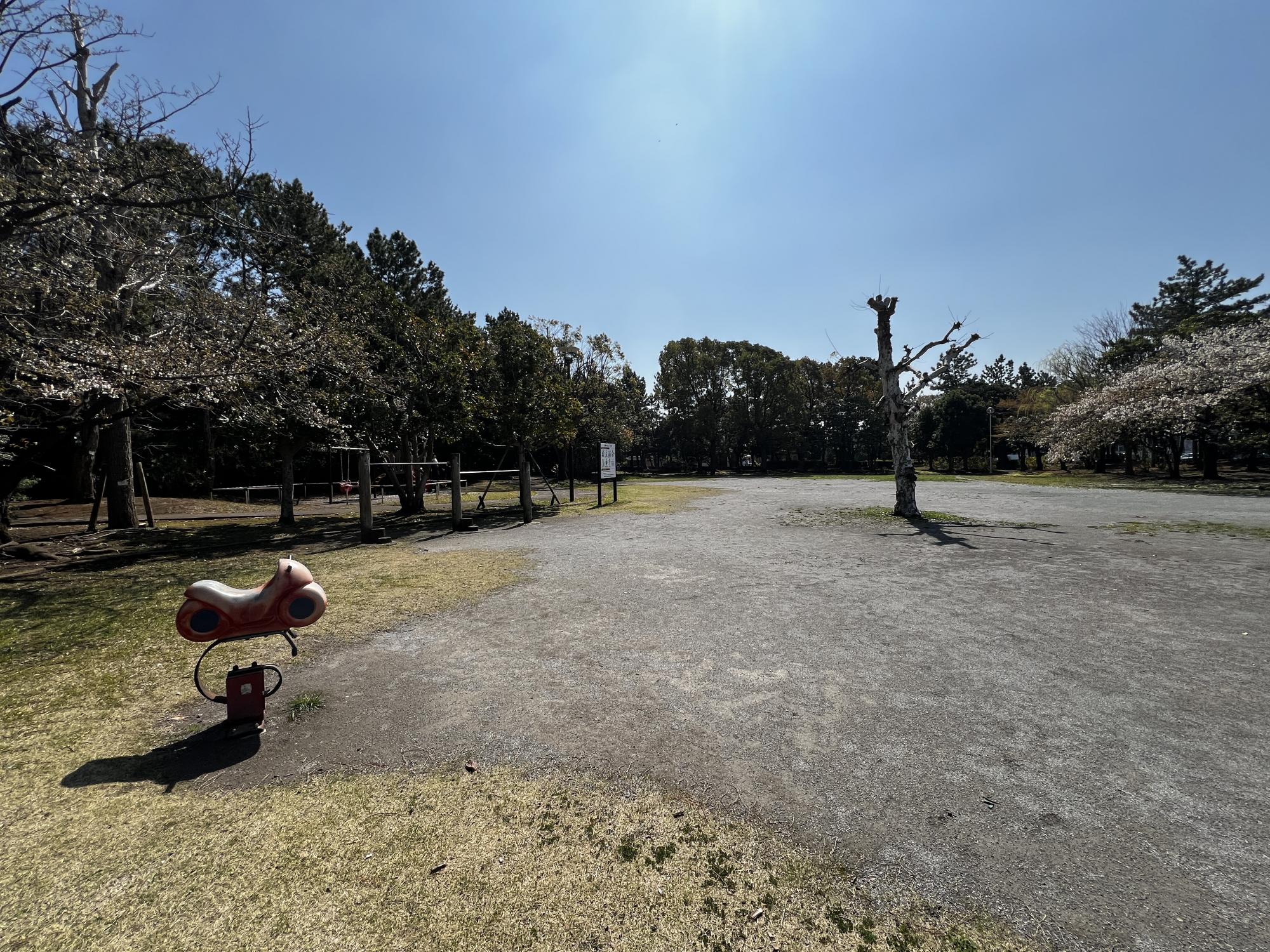 今川トリム公園