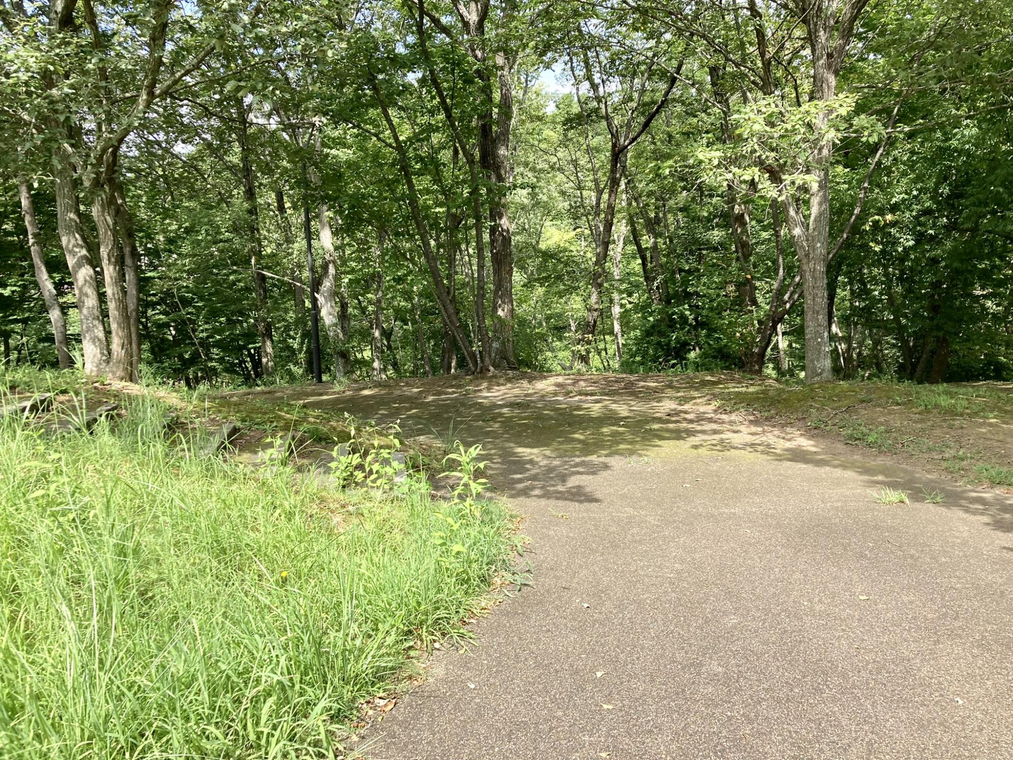 百合が丘公園・百合が丘北街区公園